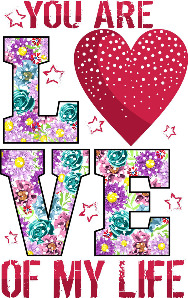 You Are Love Of My Life T-Shirt