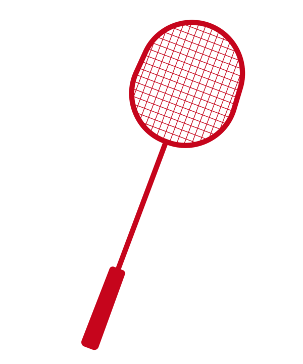 American Flag With Shuttlecocks