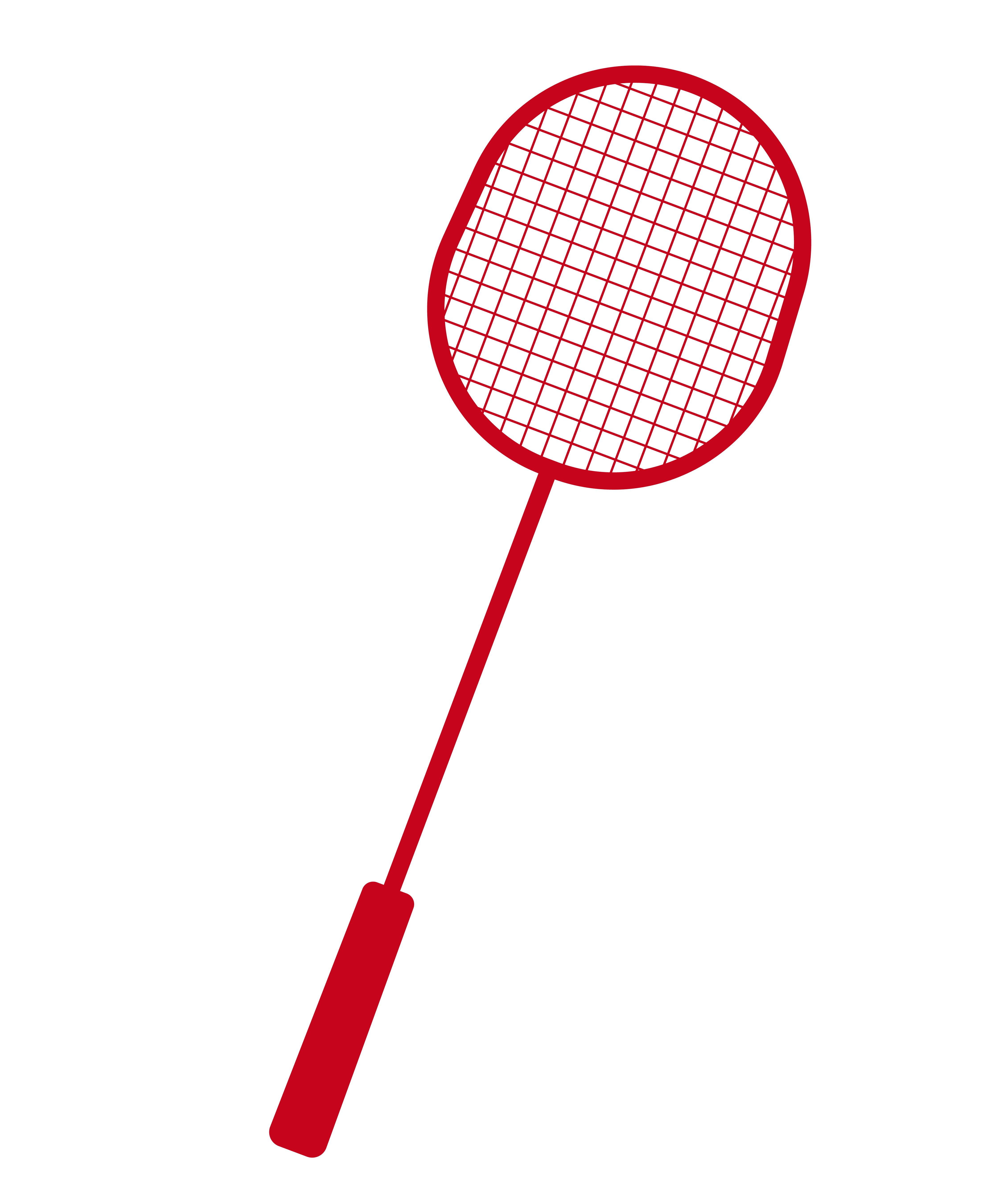 American Flag With Shuttlecocks