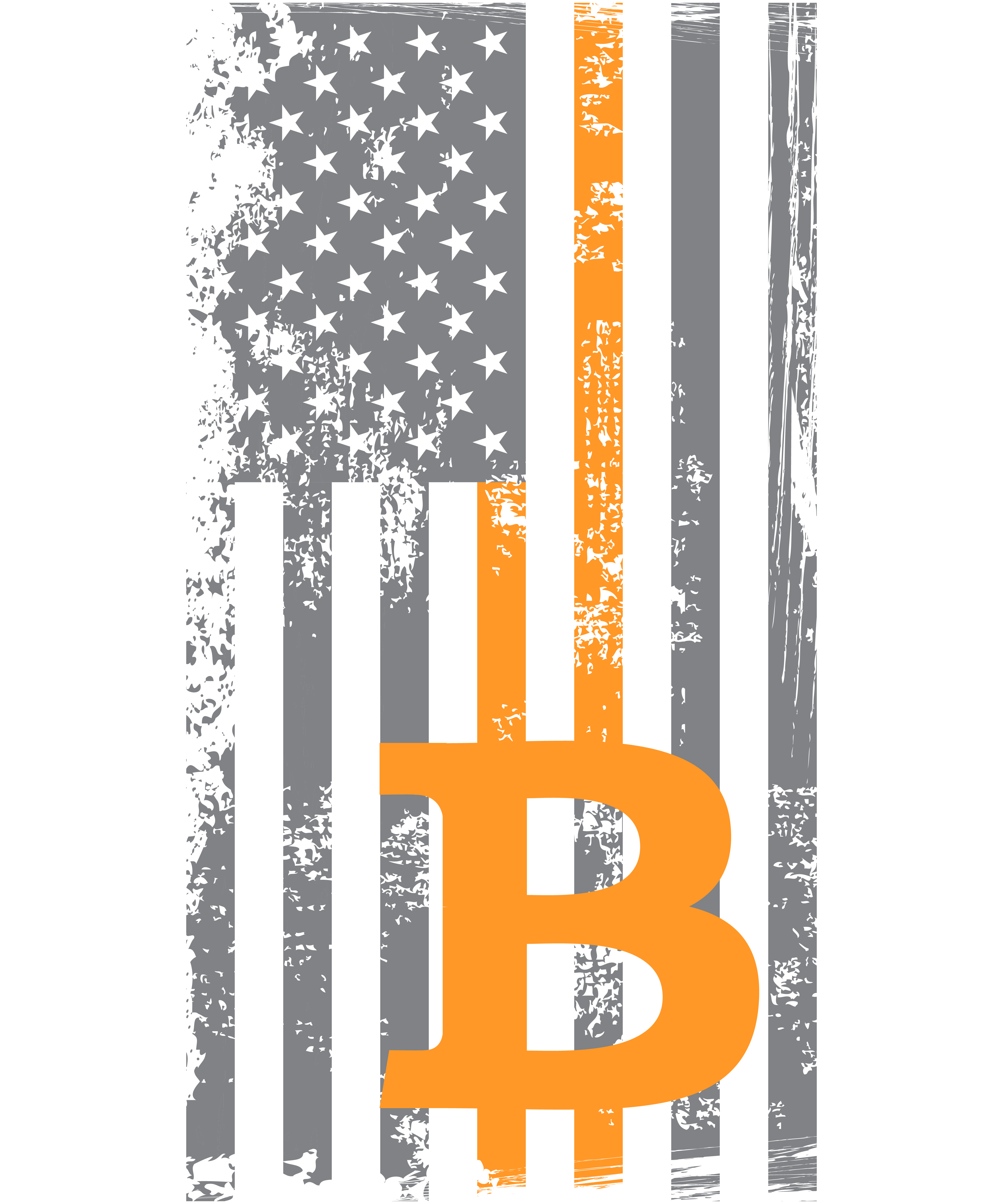Bitcoin USA Flag