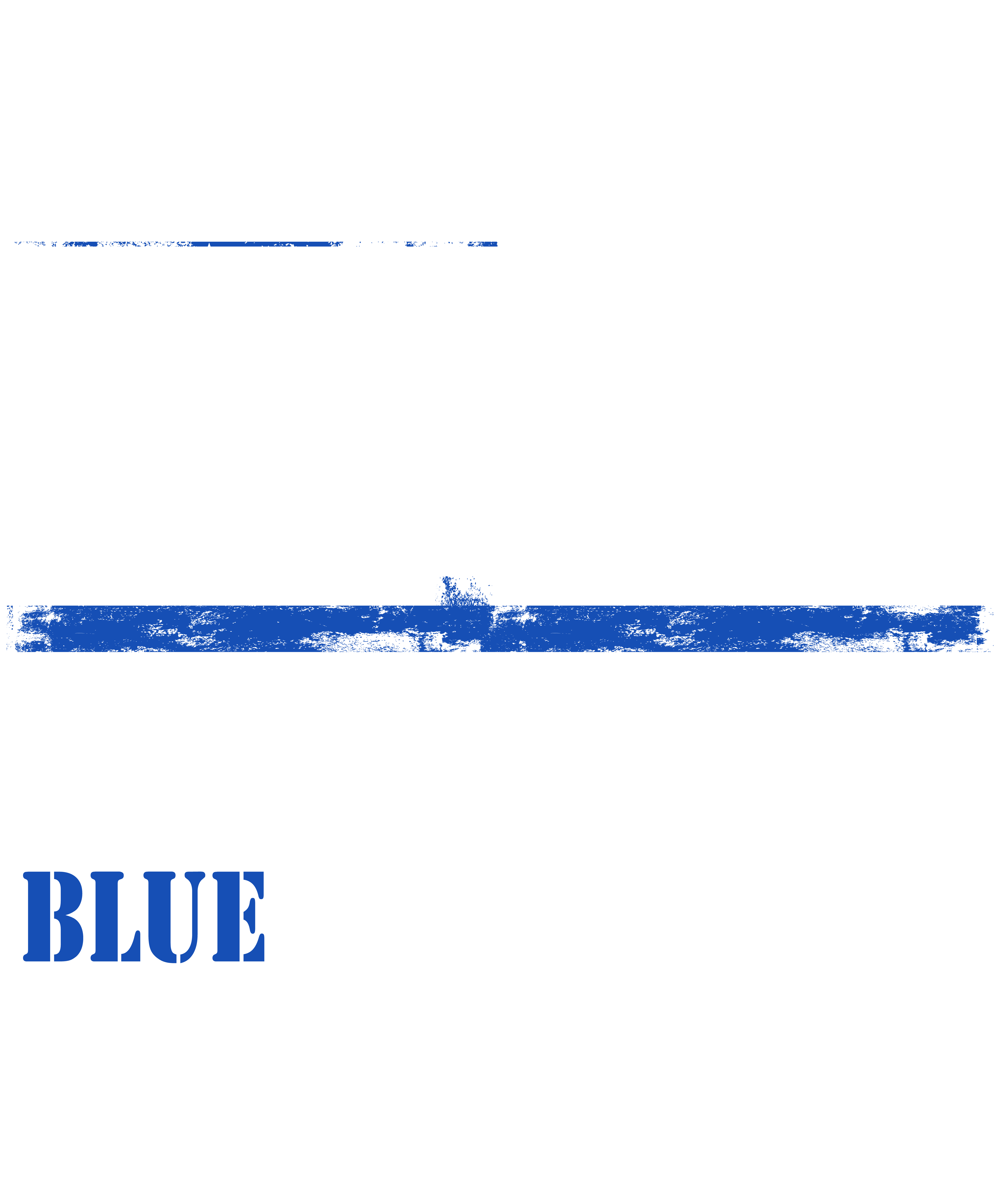 Blue Lives Matter Thin Blue Line American Flag Cop