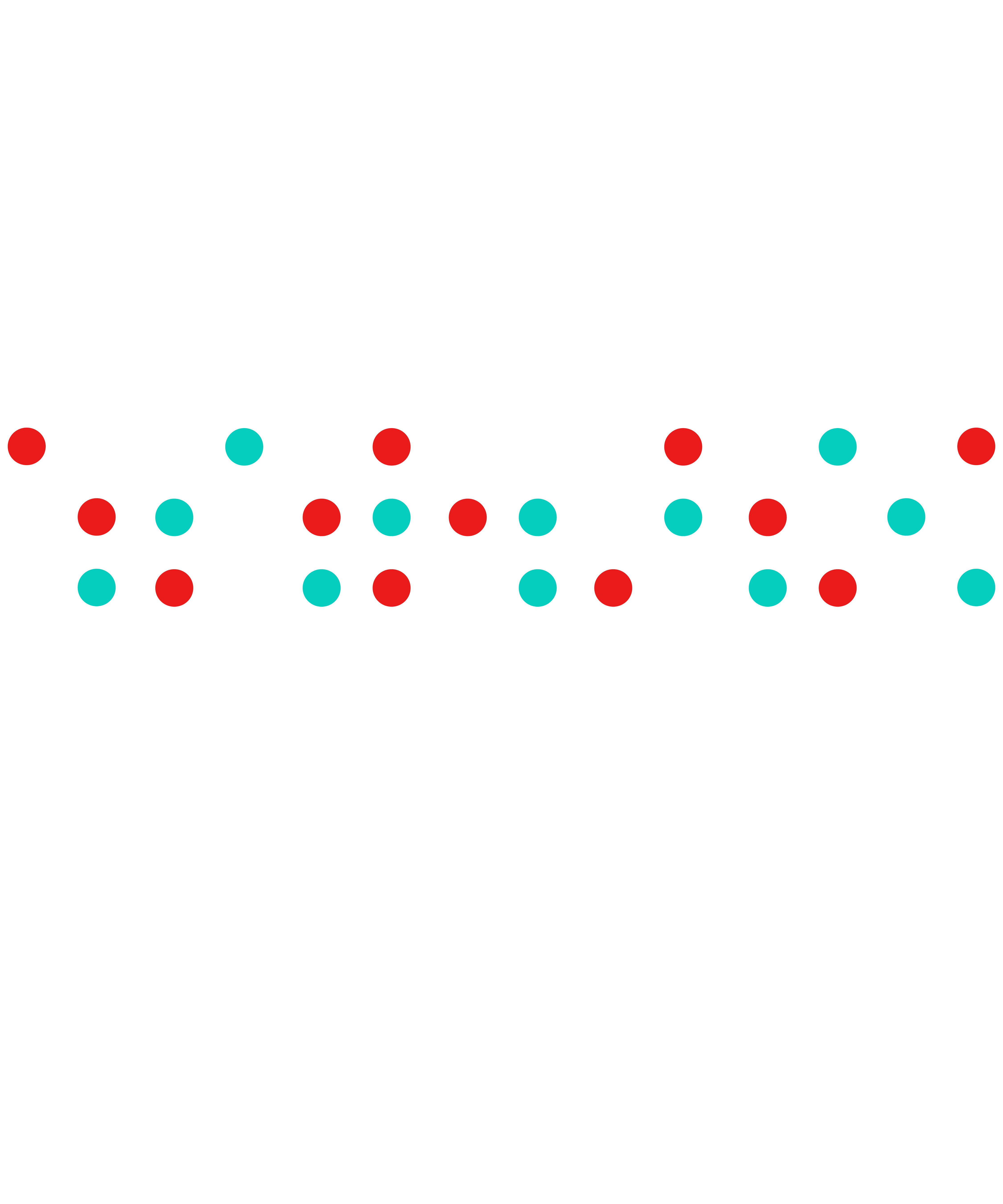 Braille Dots Teacher