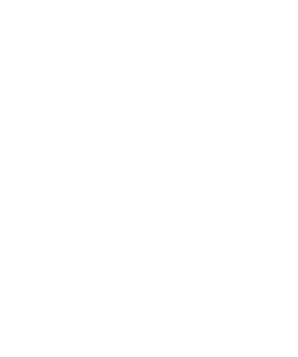 Braille-Iant