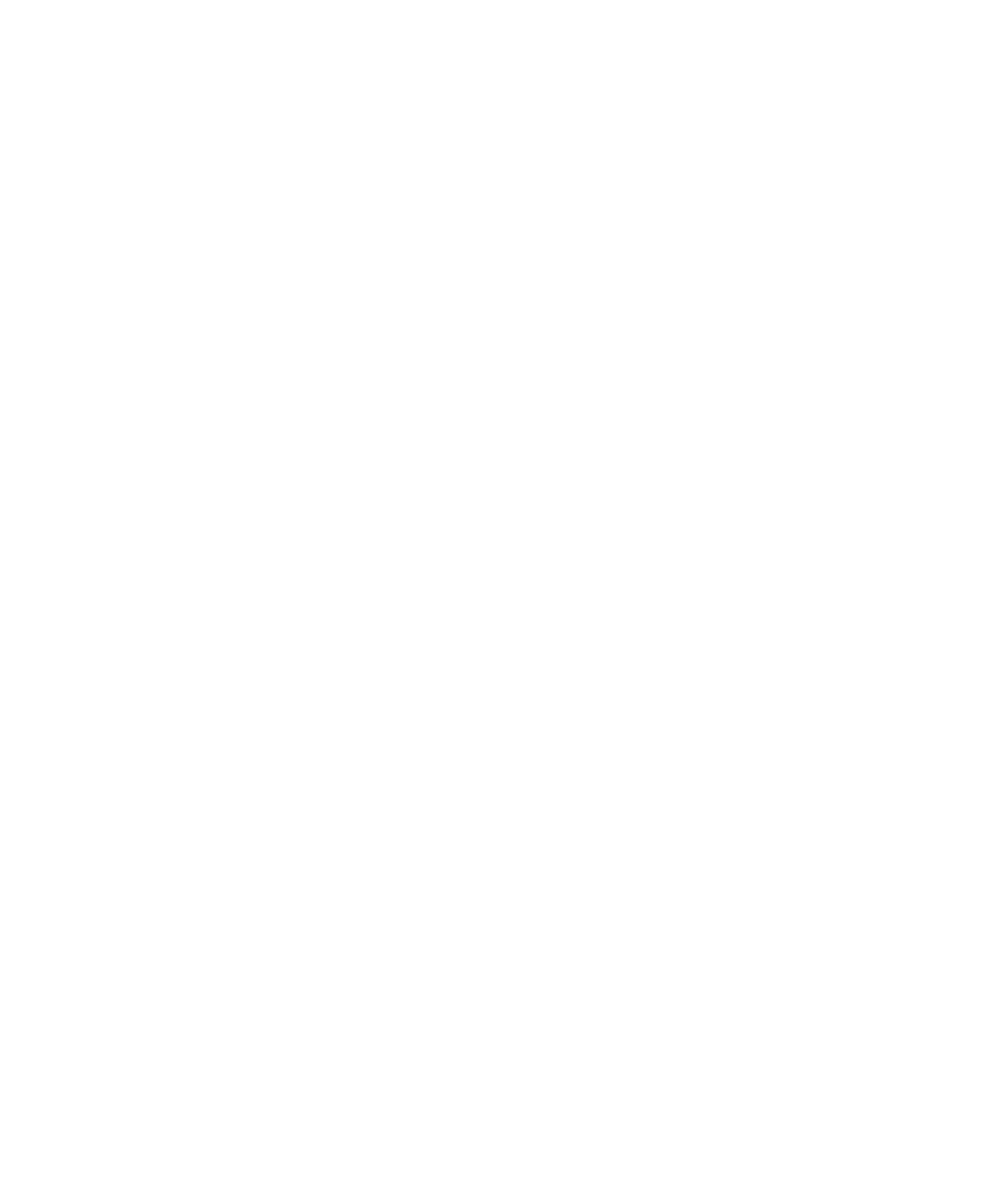 Braille-Iant