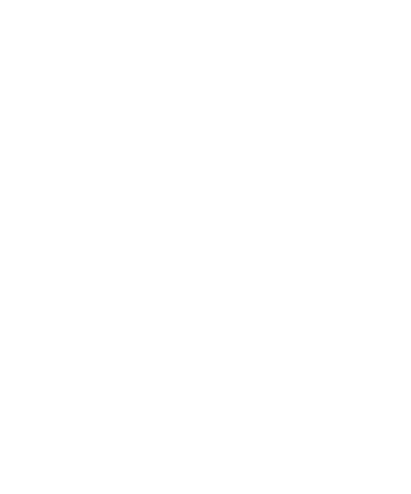 Braille Mama Bear