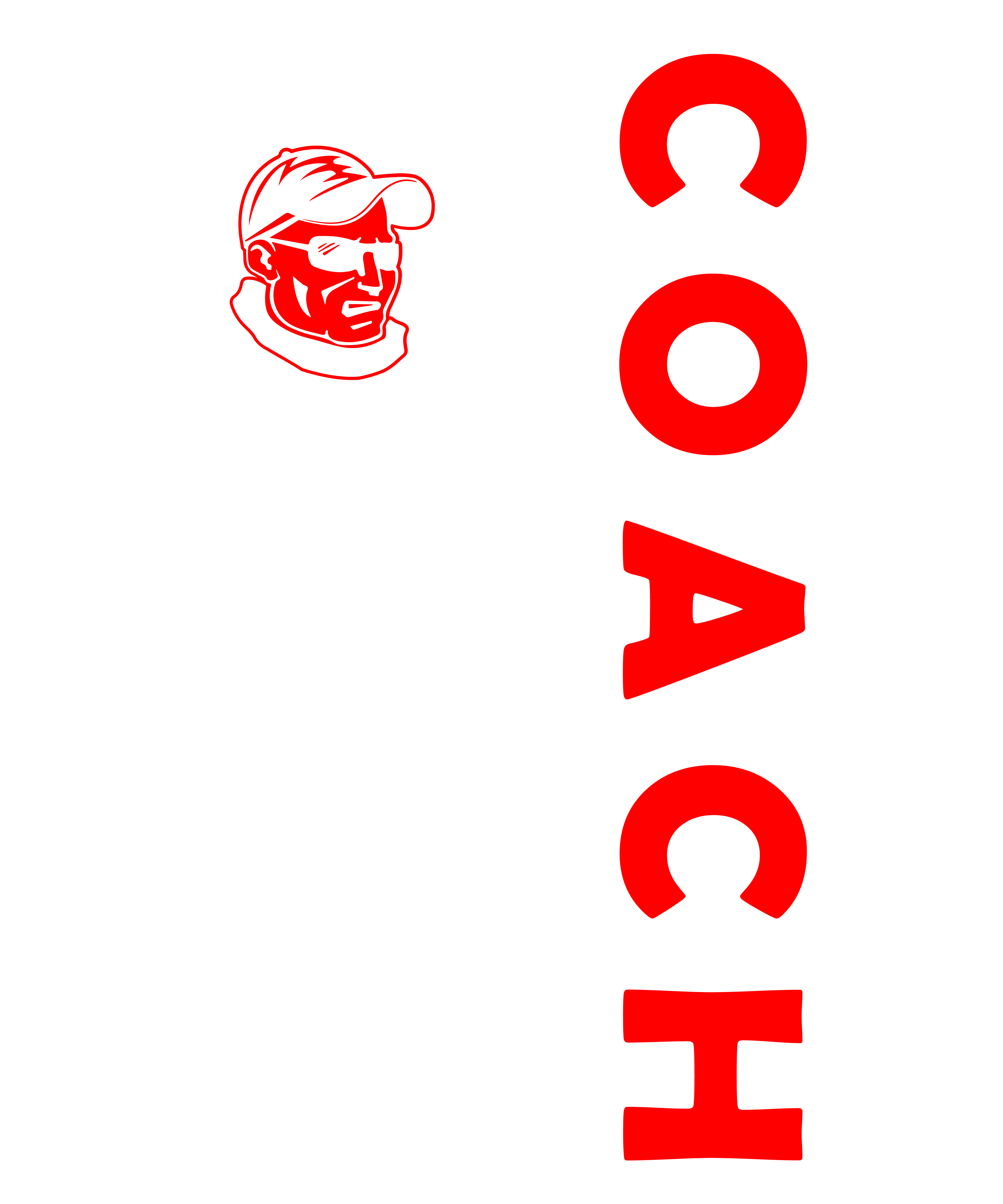 Coach USA Flag