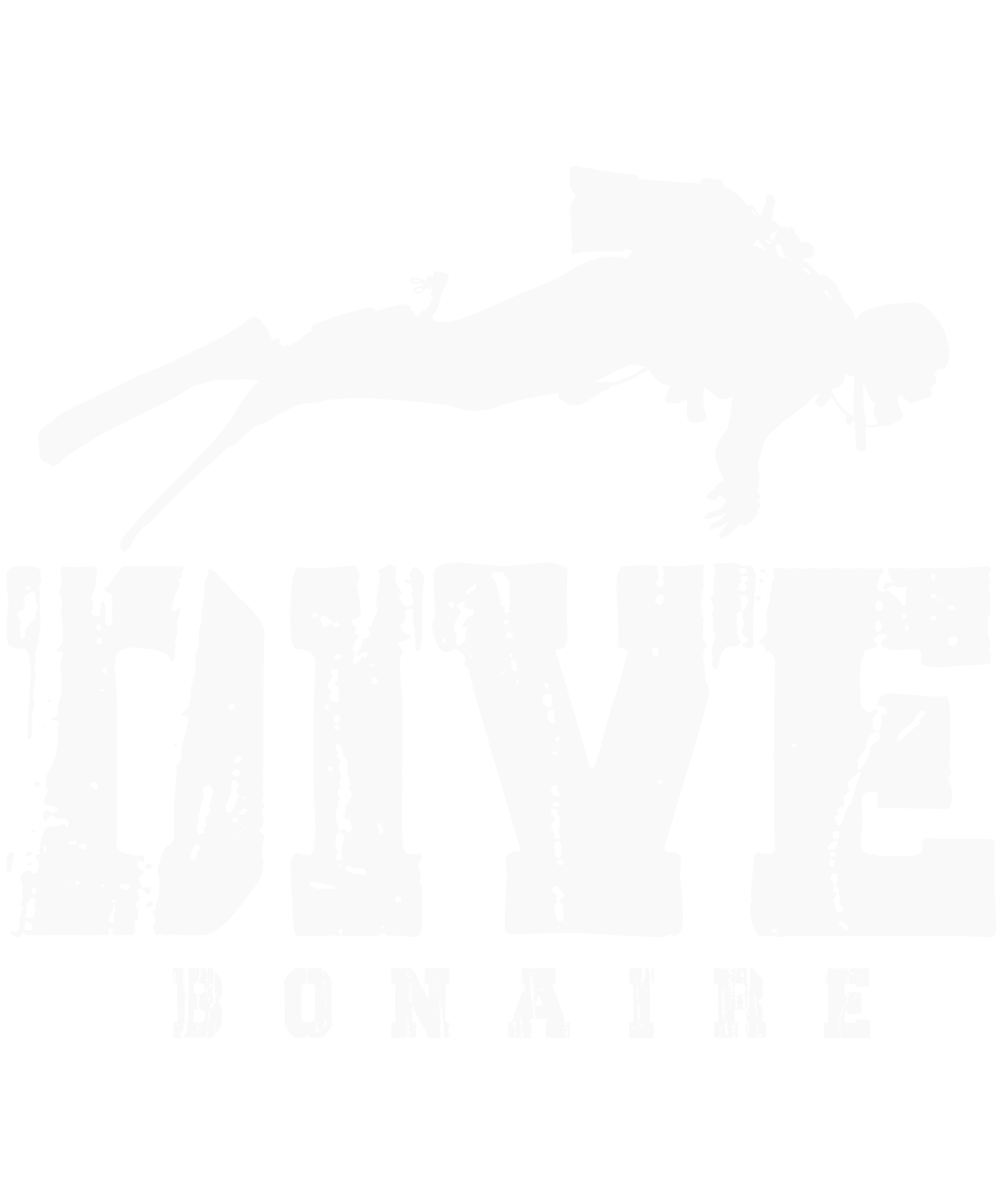 Dive Bonaire