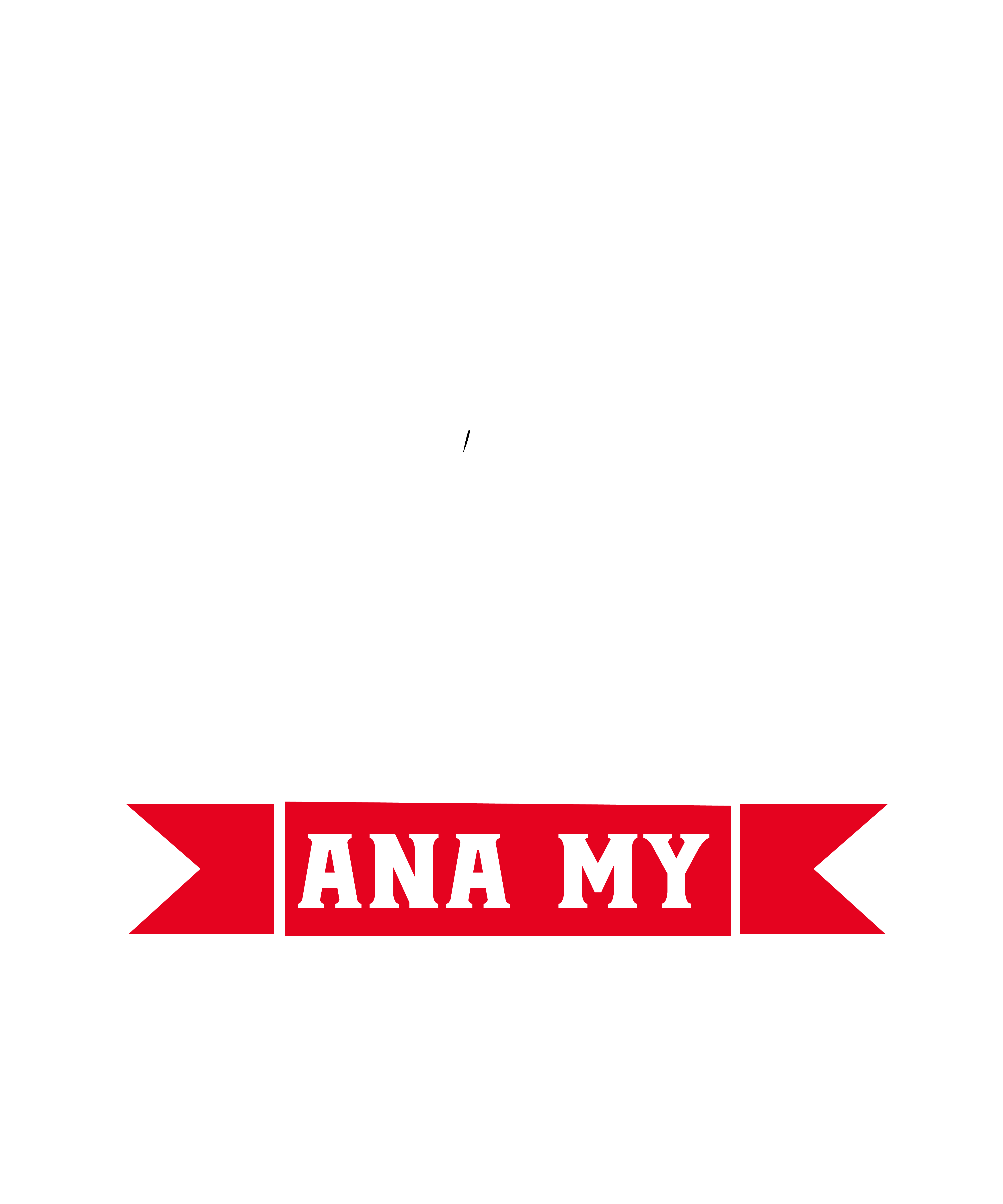 Funny Grilling BBQ Pork Rub BBQ Lover