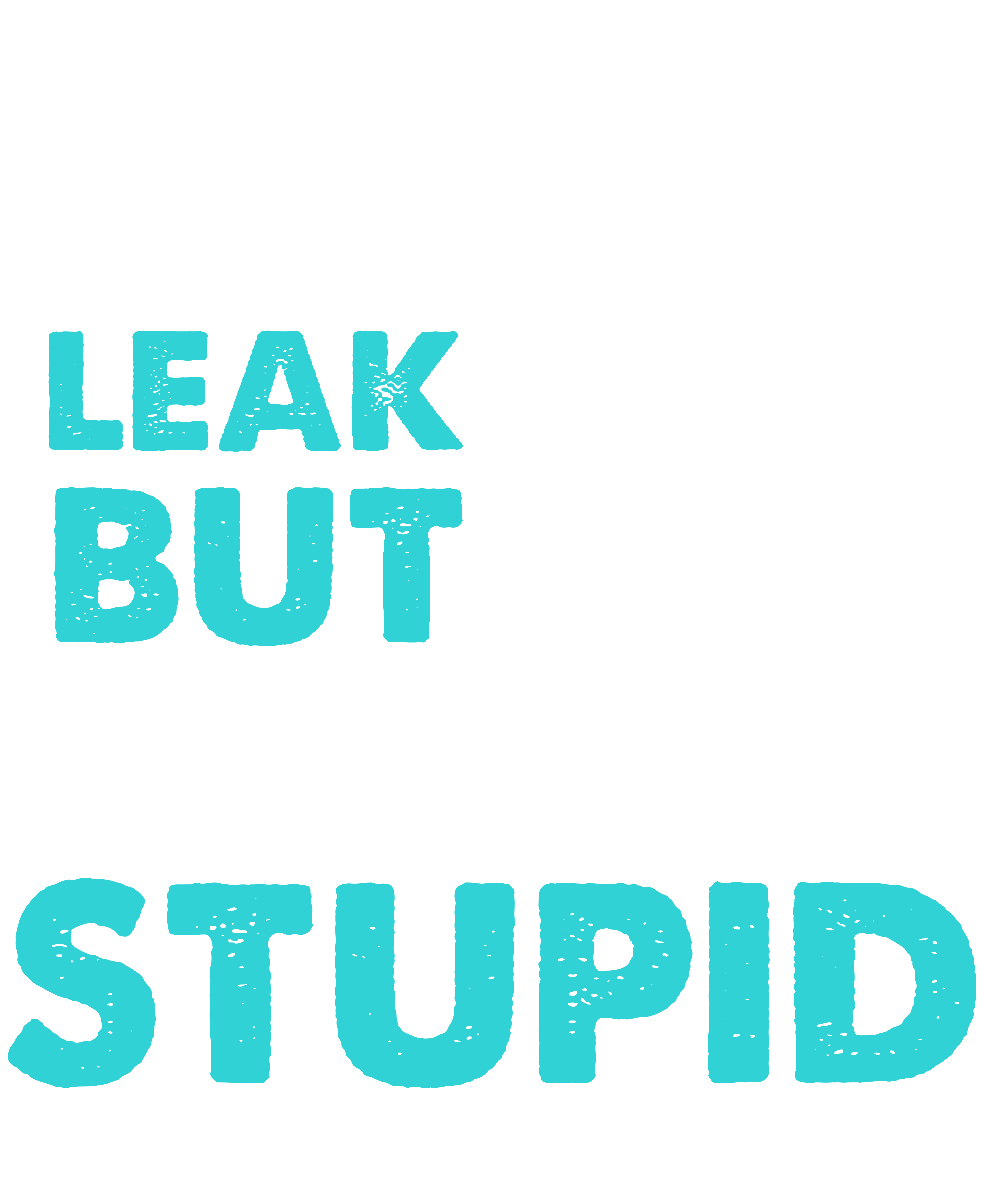 I Can Fix A Leak But I Can't Fix Stupid Funny Plumber