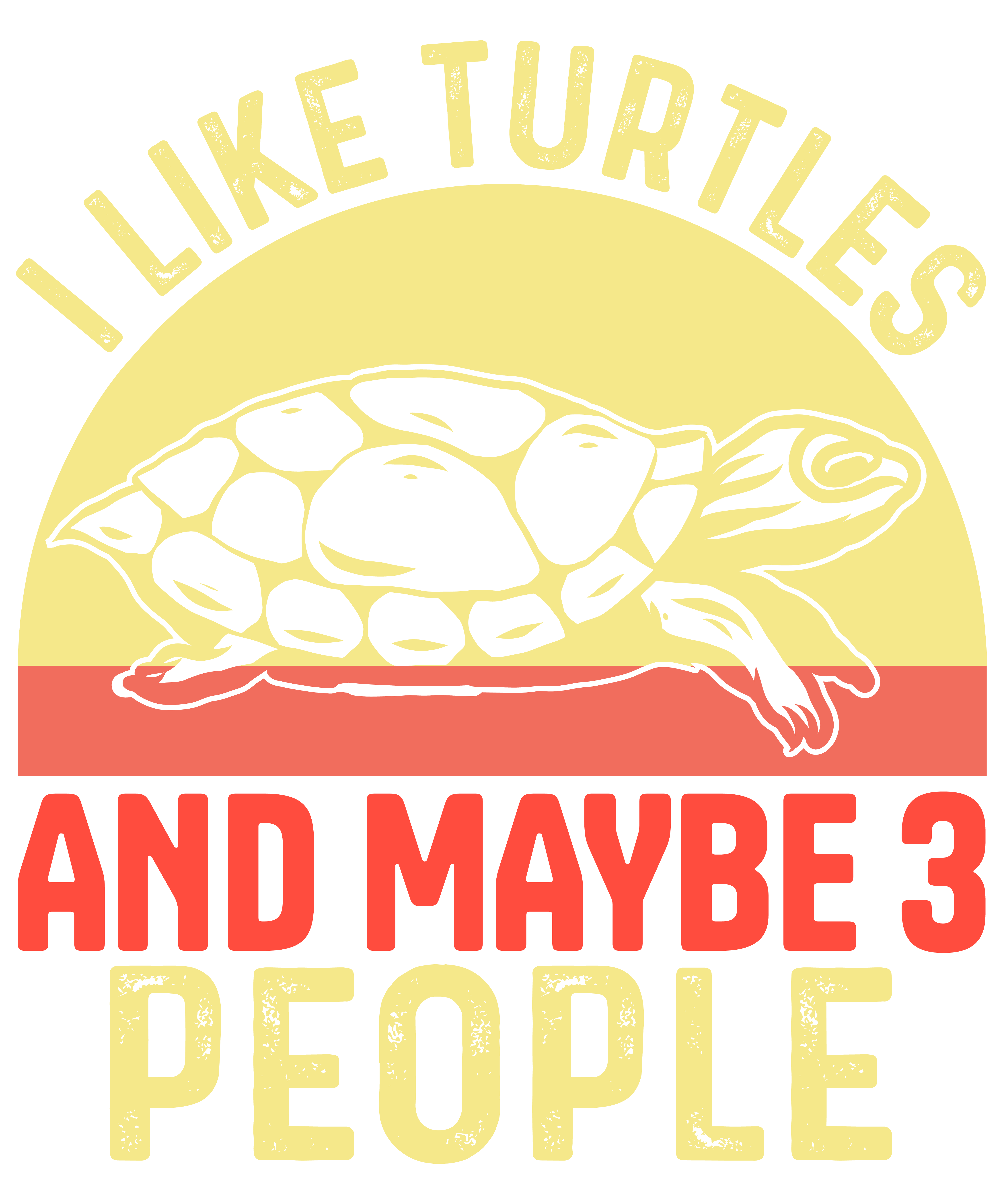 I Like Tortoises And Maybe 3 People