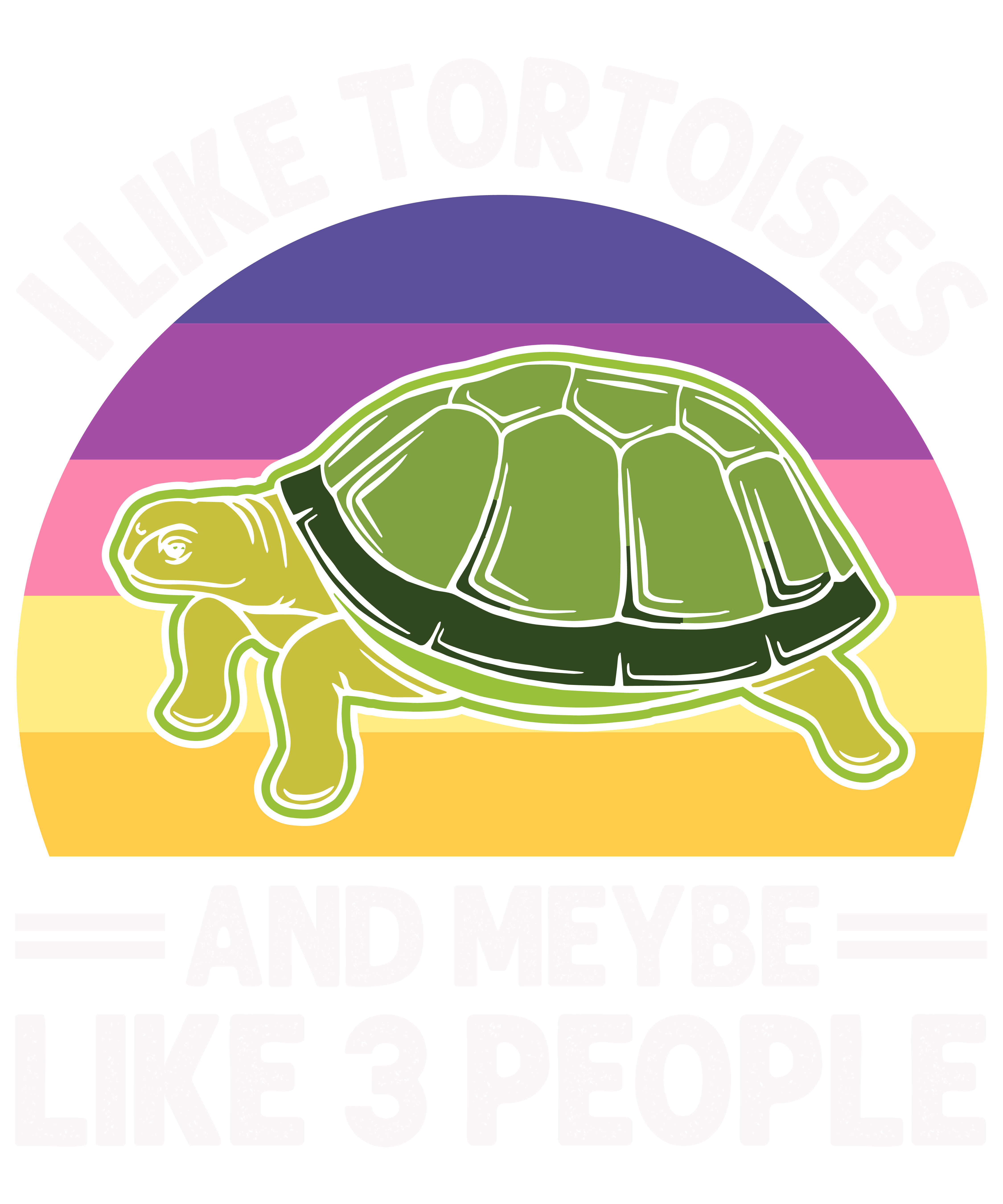 I Like Tortoises And Maybe Like 3 People