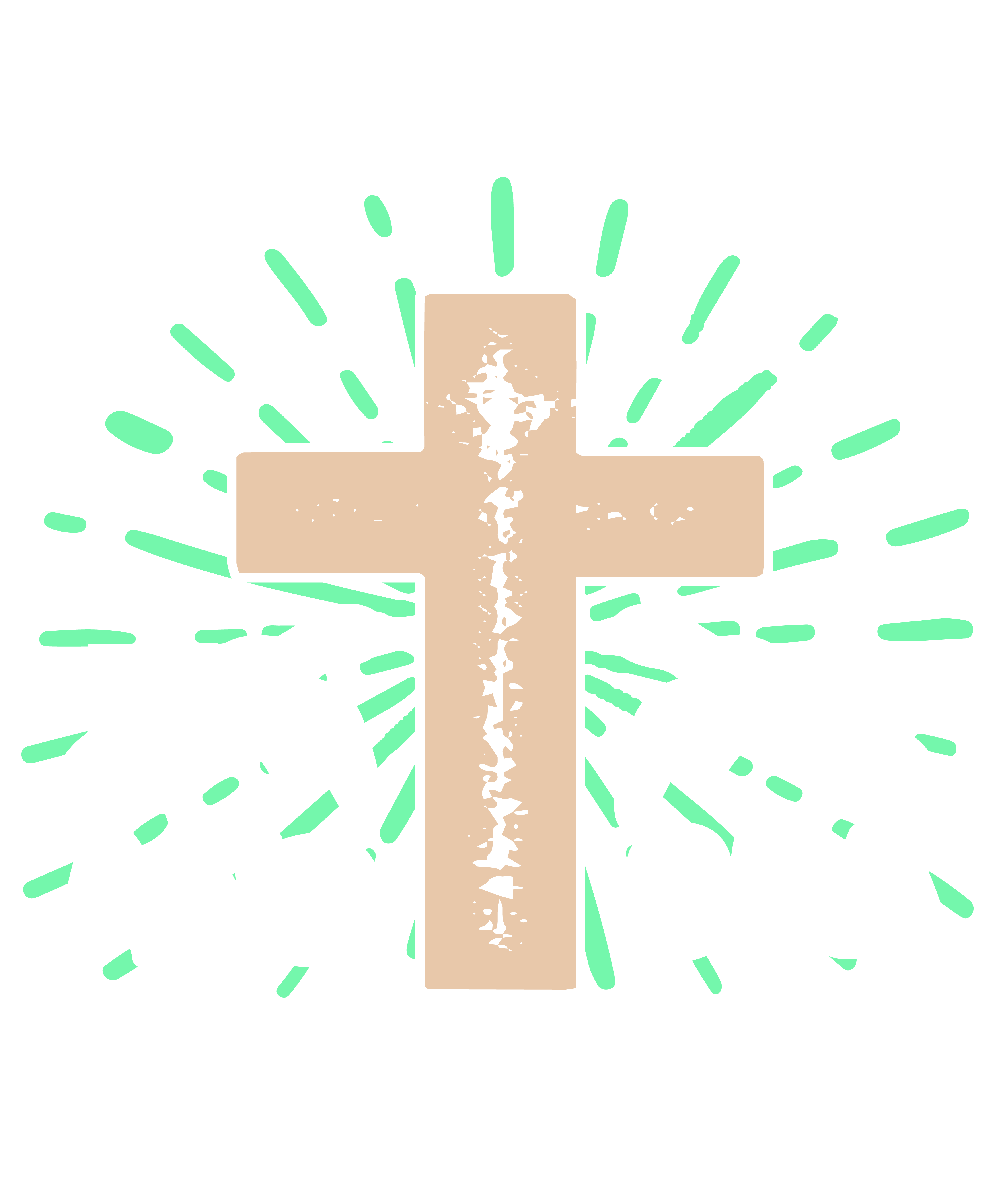 I Love Jesus & Sea Turtles