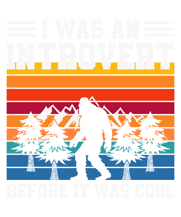 I Was An Introvert Before It Was Cool