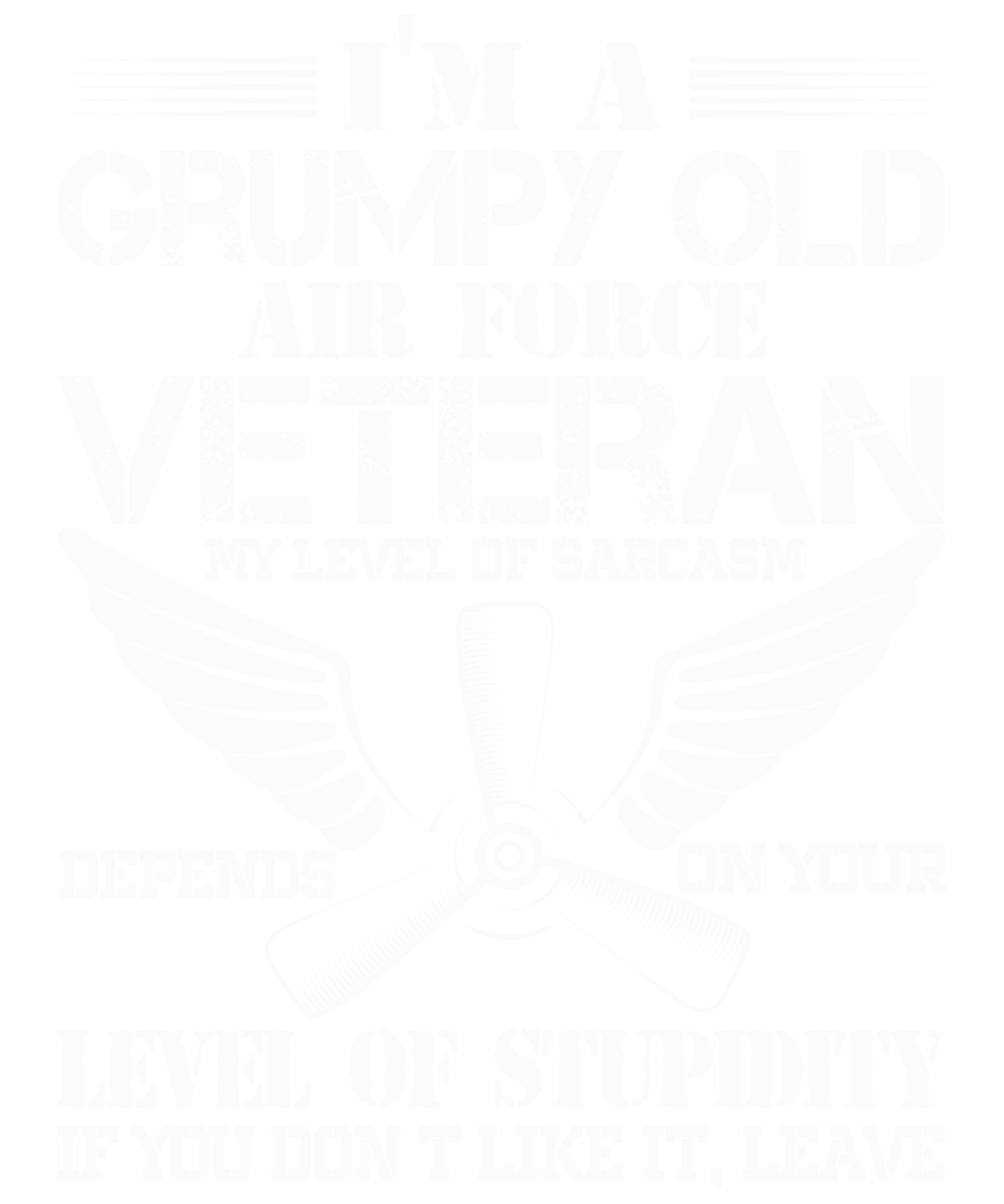 Im A Grumpy Old Air Force Veteran