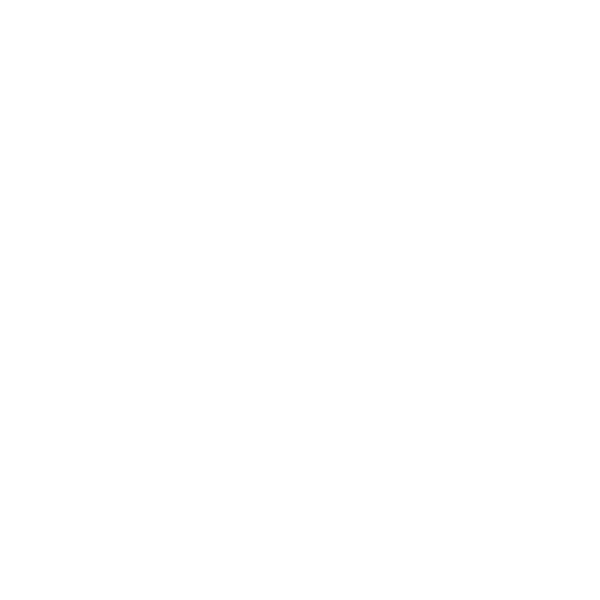 In Remembrance Of My Dear Mother