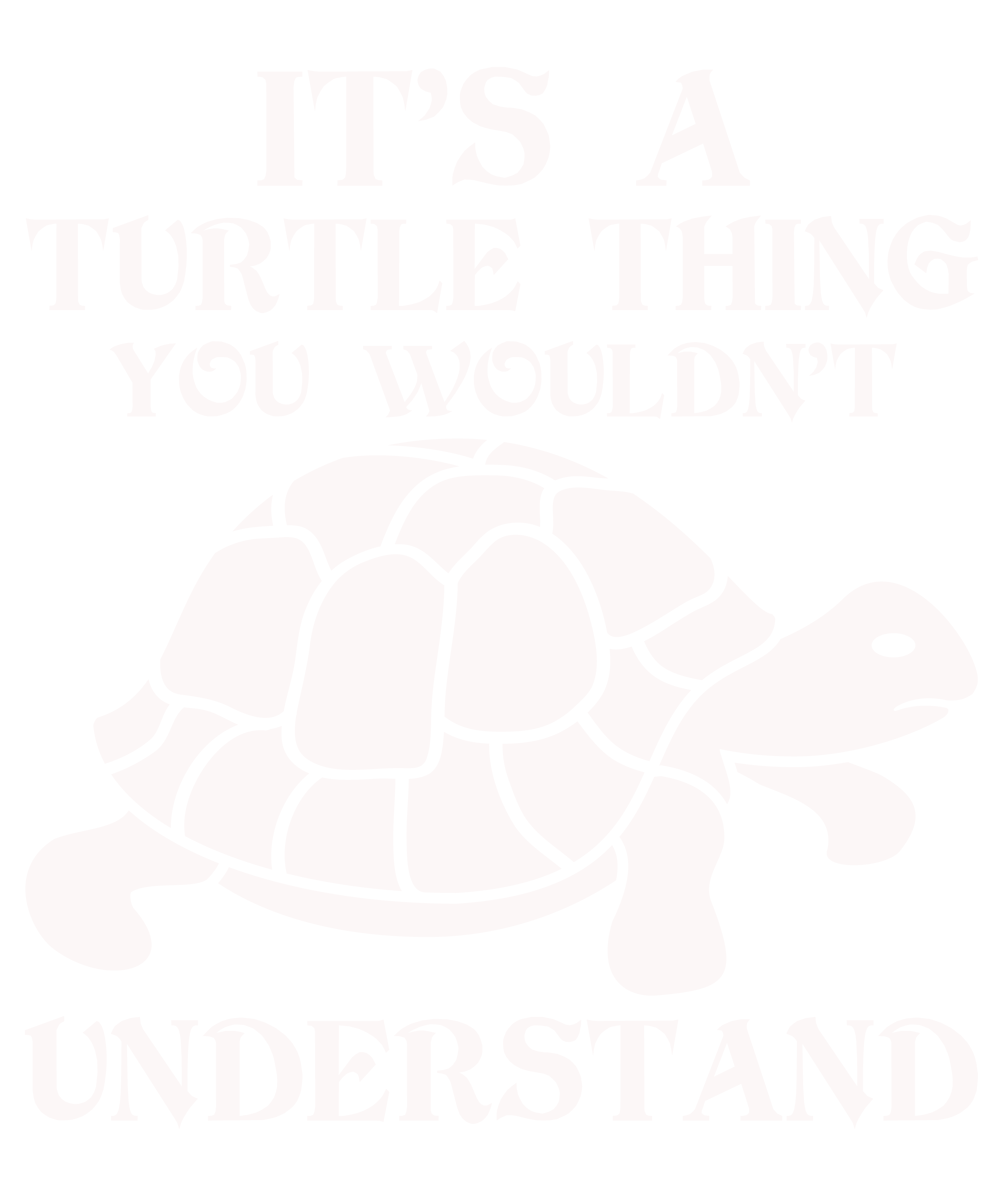 It S A Turtle Thing