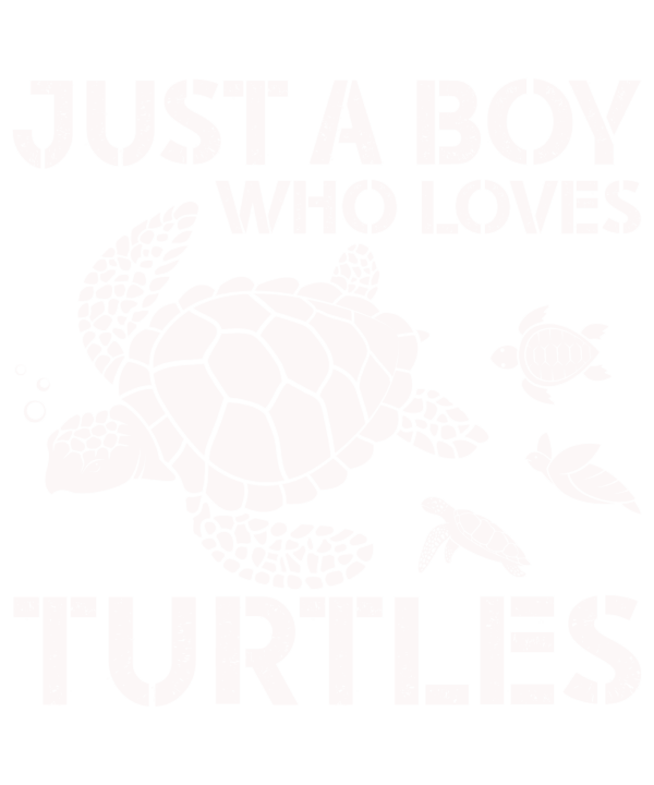 Just A Boy Who Loves Turtle