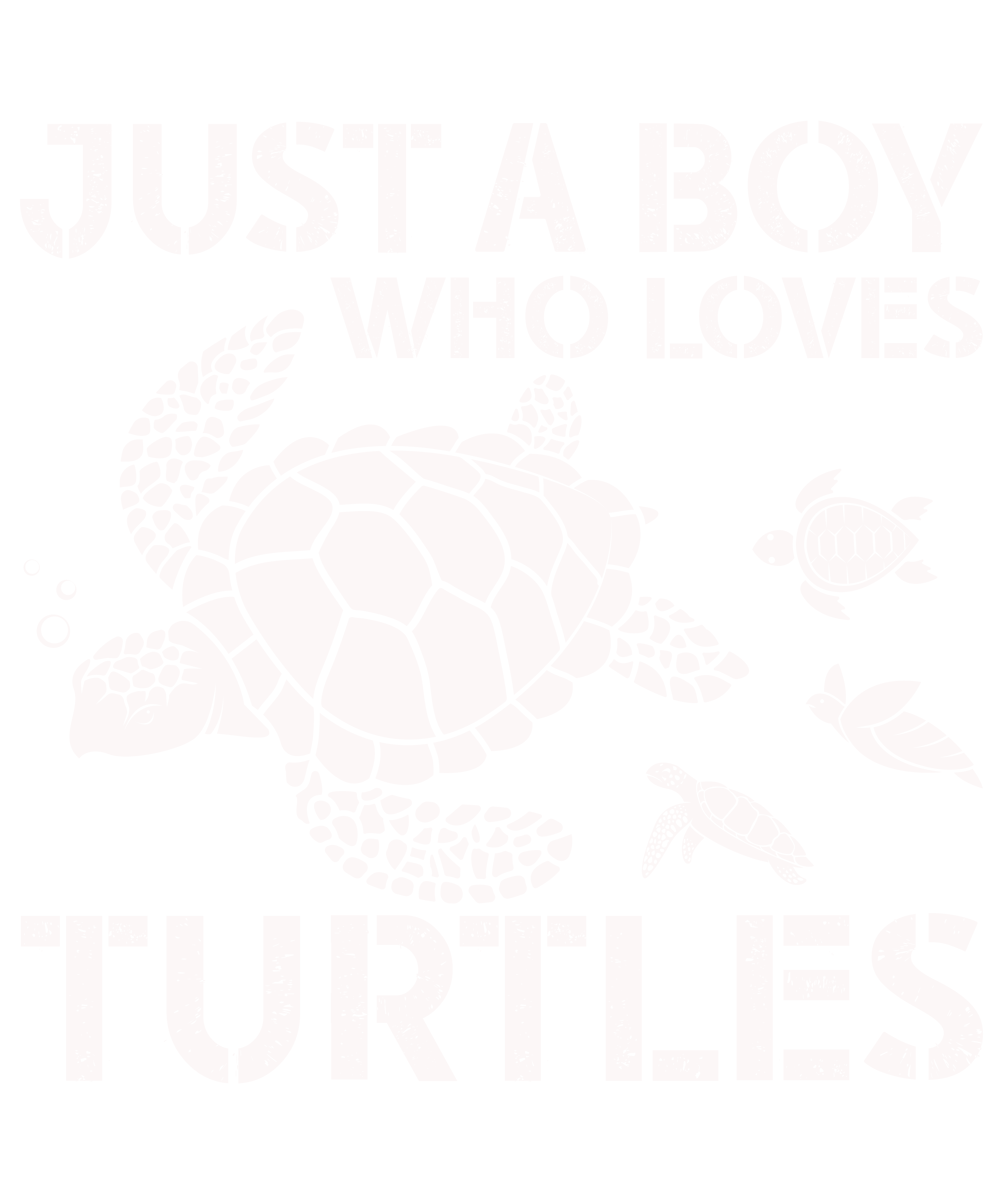 Just A Boy Who Loves Turtle