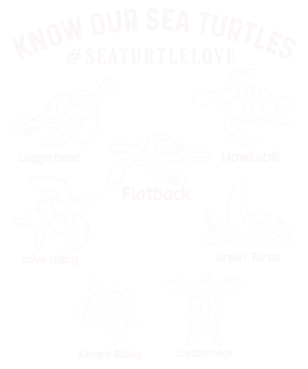 Know Our Sea Turtles