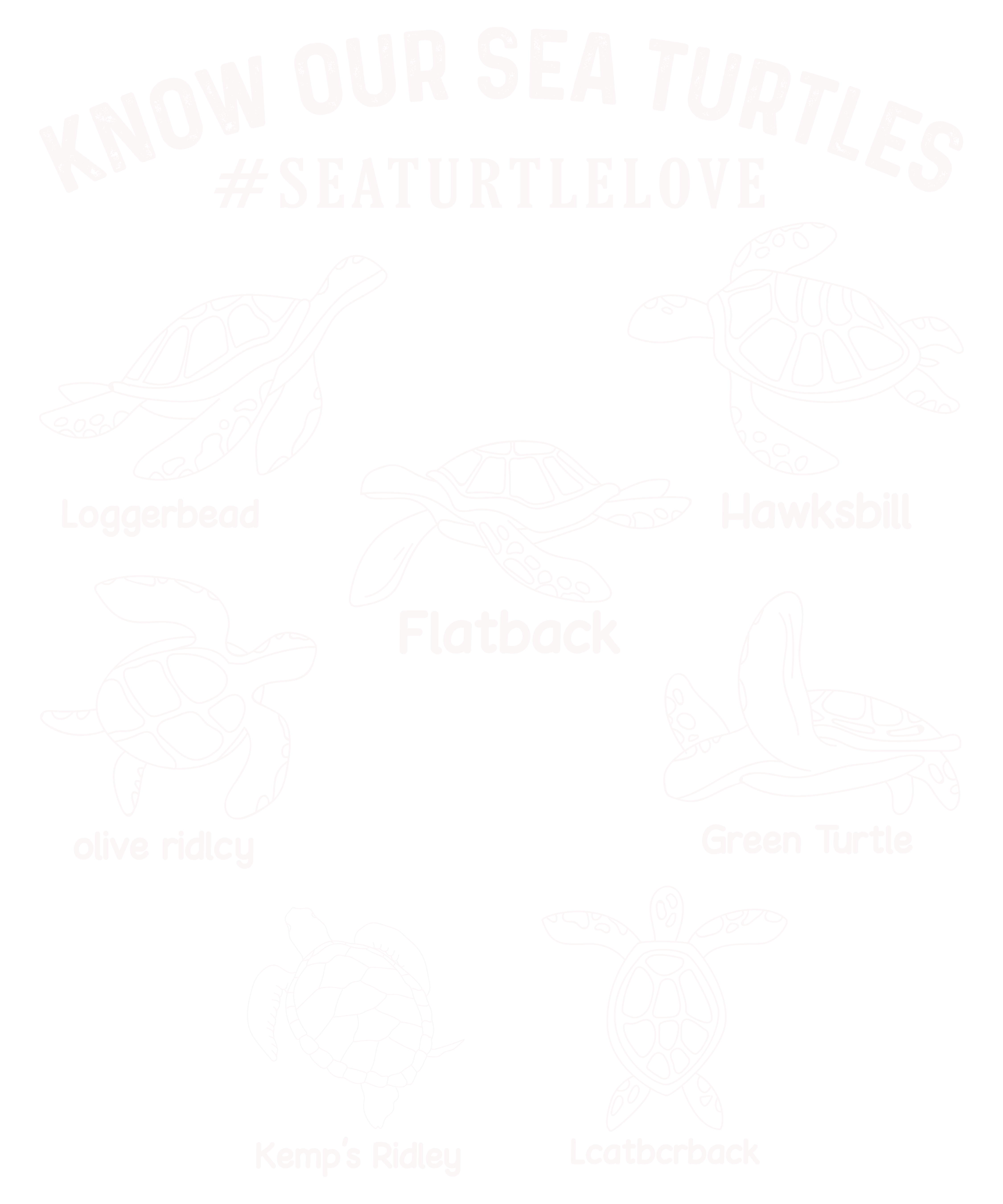 Know Our Sea Turtles