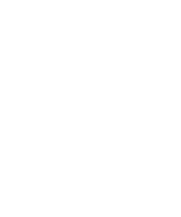 Love Gun