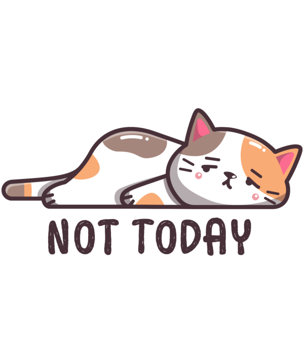 Not Today Cat