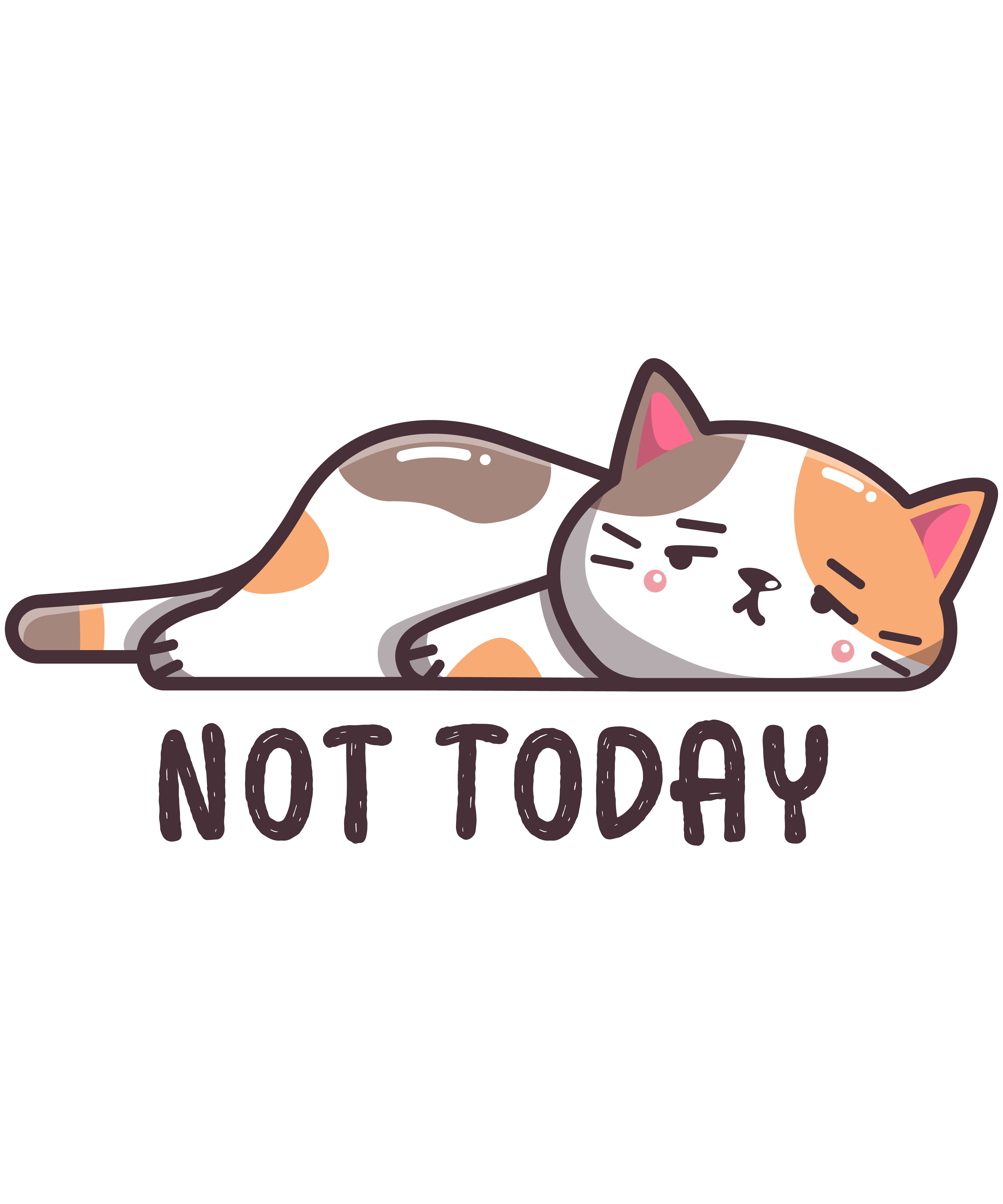 Not Today Cat