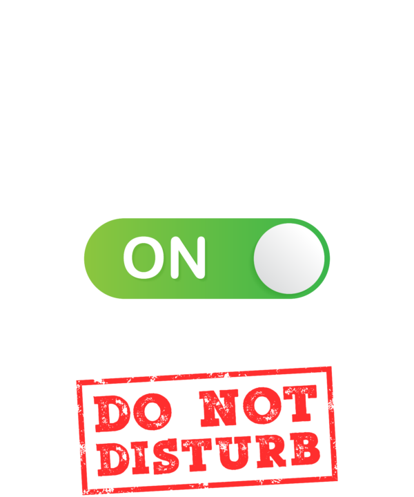 Pilot Mode On Please Do Not Disturb
