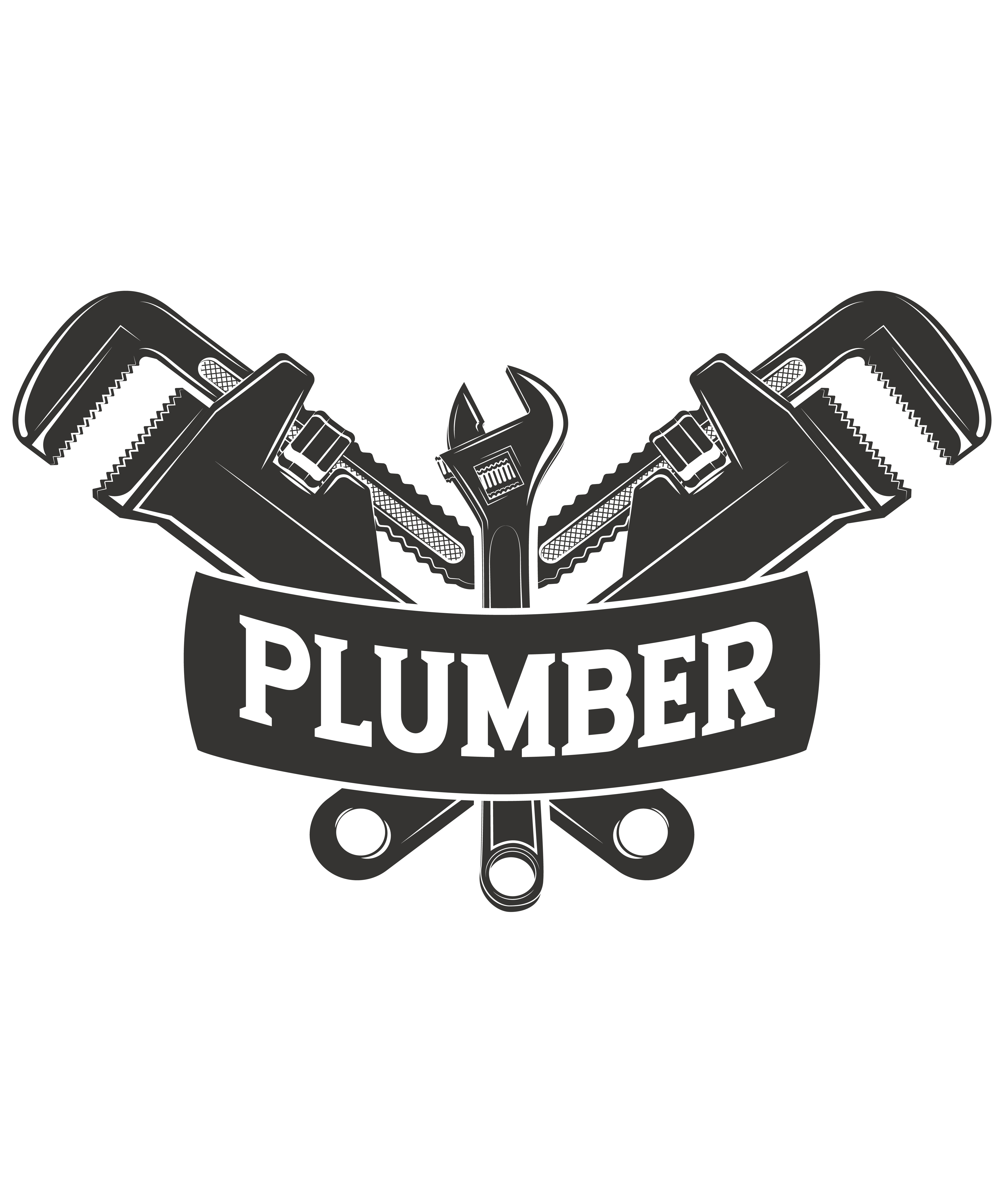 Plumber Profession Plumbing