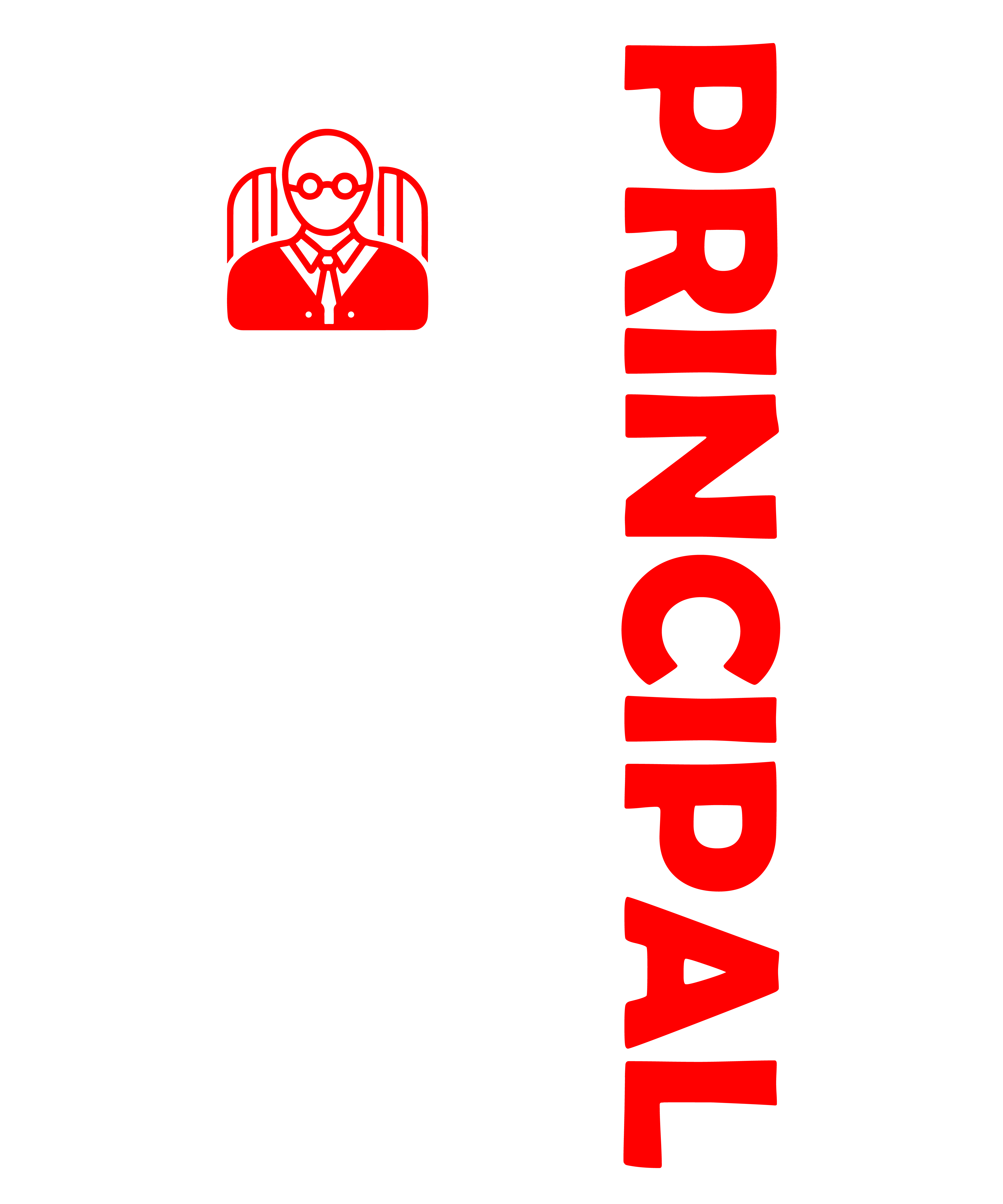 Principal USA Flag