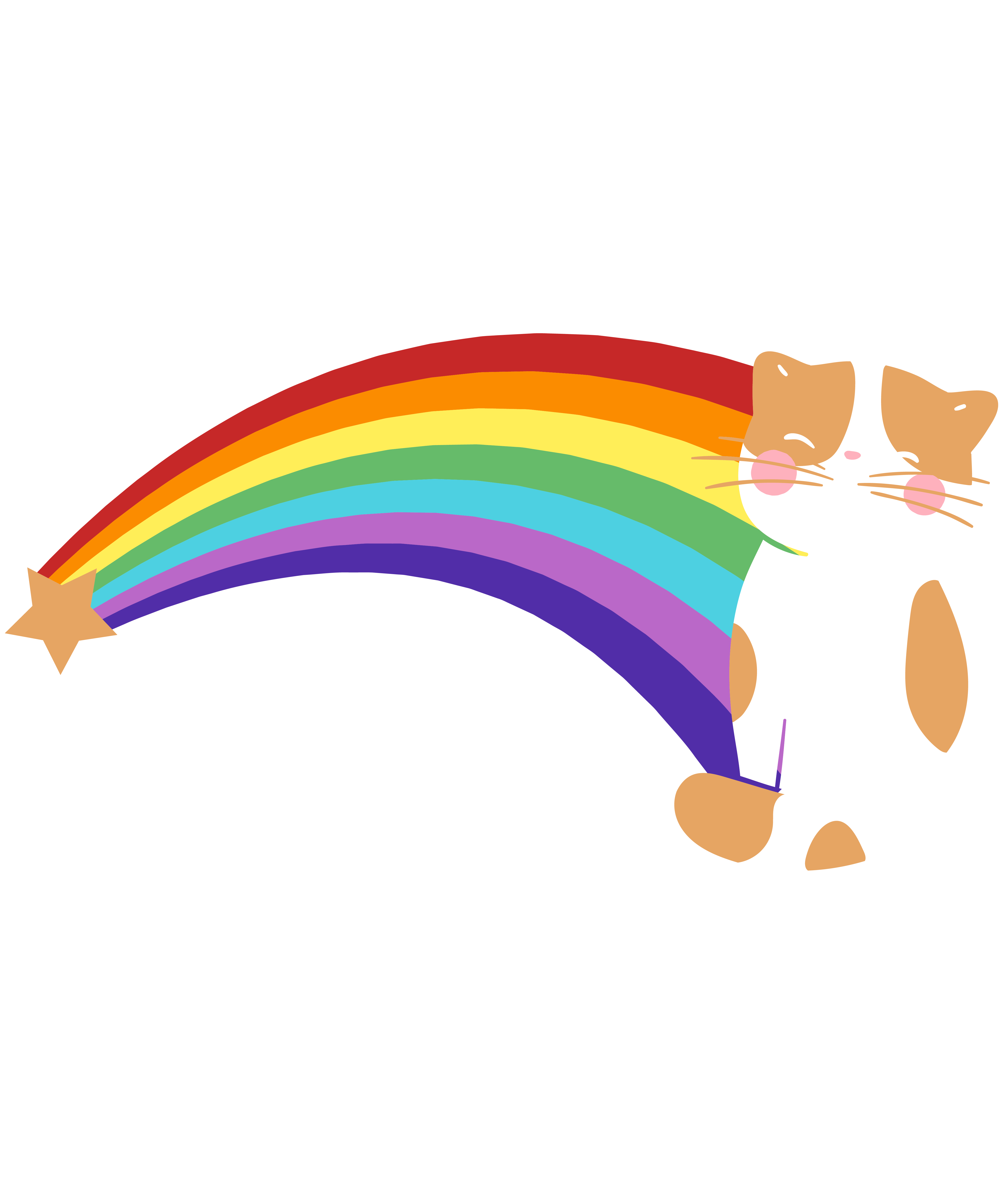 Retro Rainbow Cat