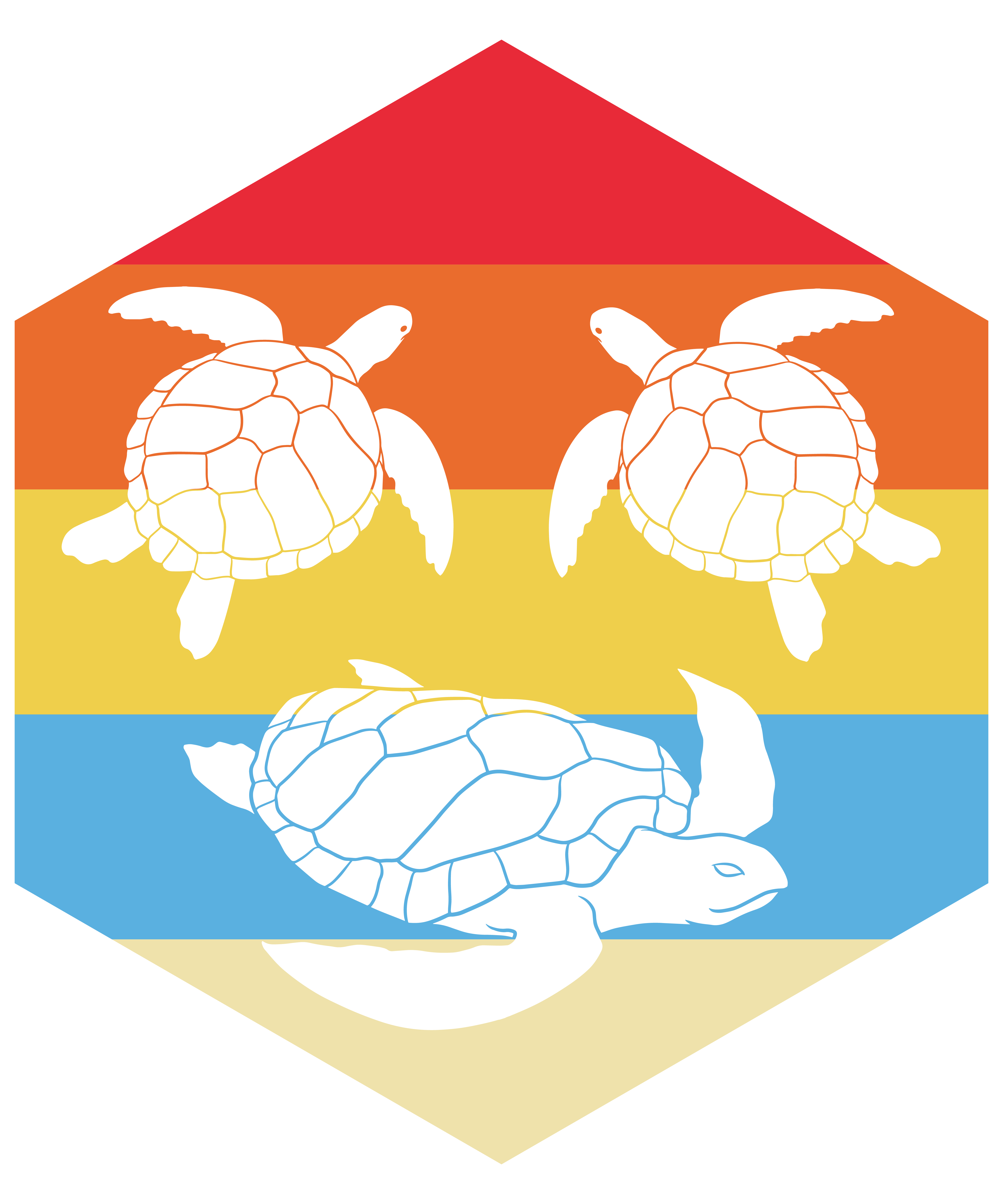 Retro Sea Turtle