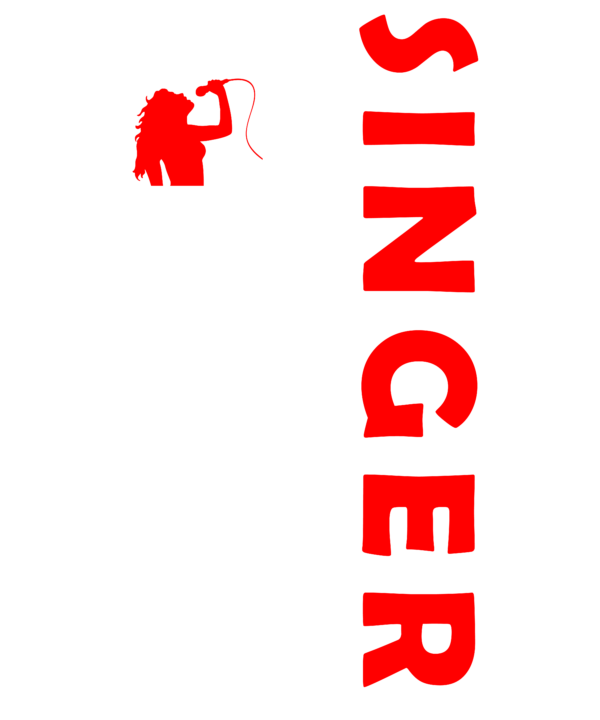 Singer USA Flag