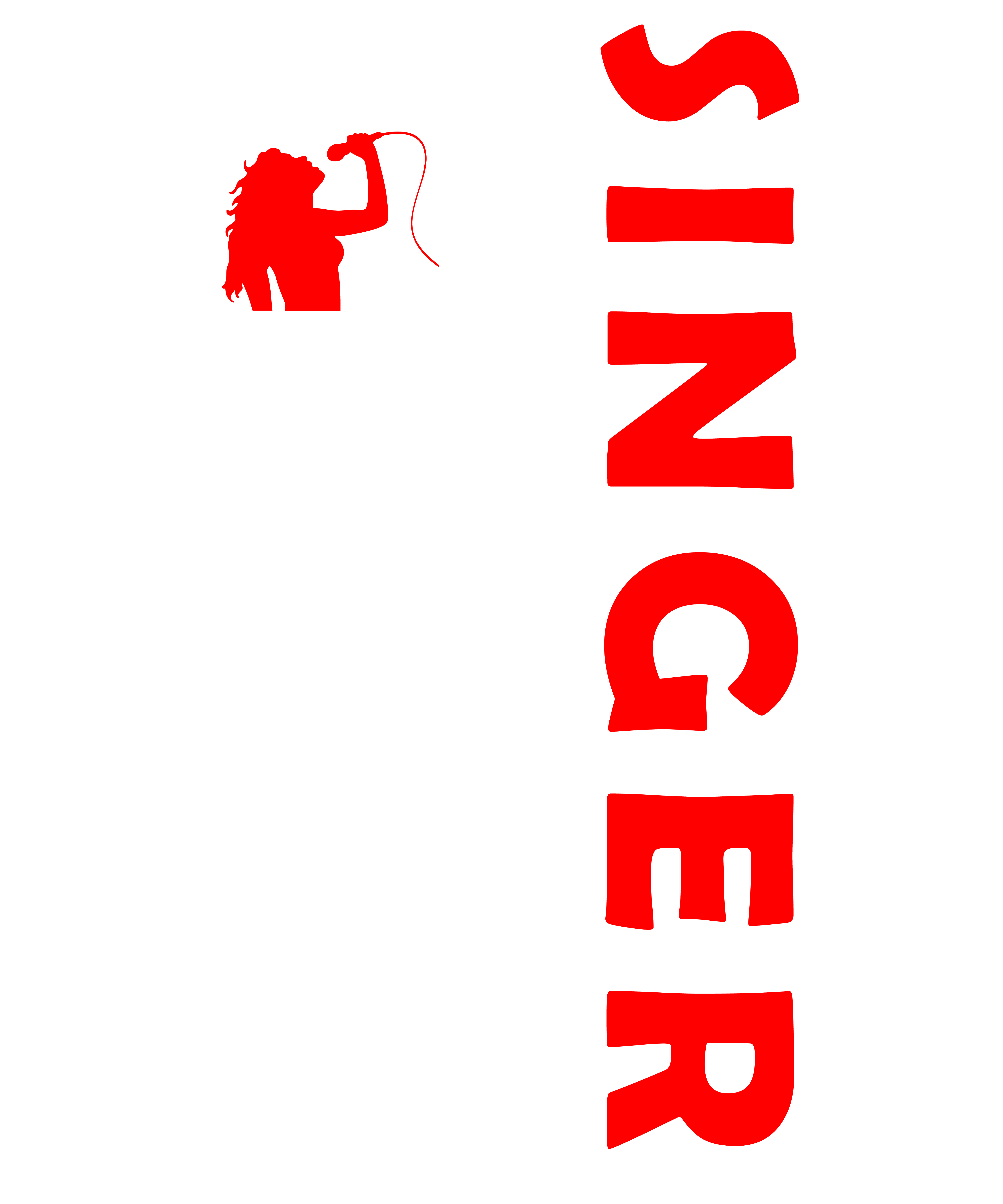 Singer USA Flag