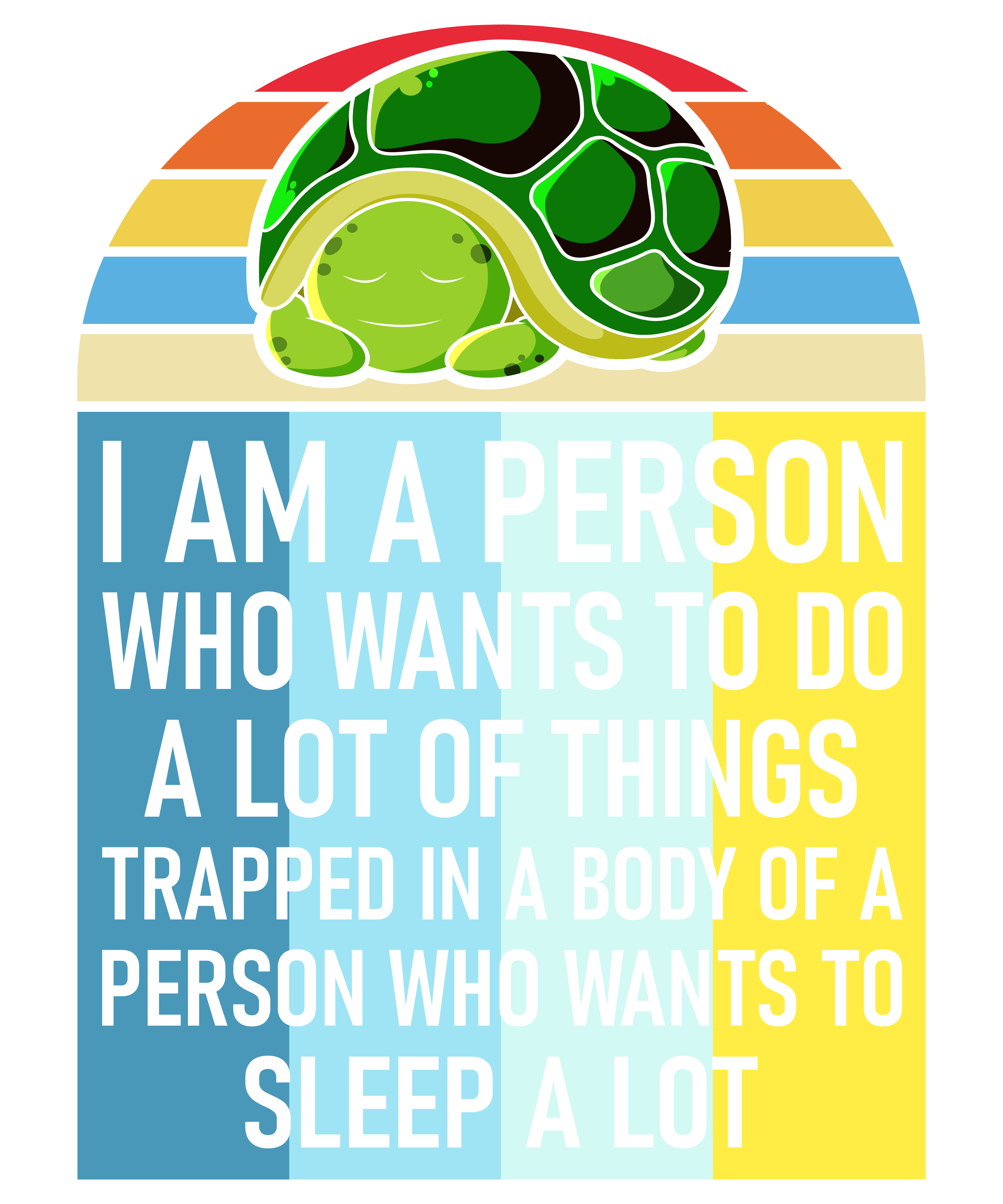Sleep A Lot Turtle