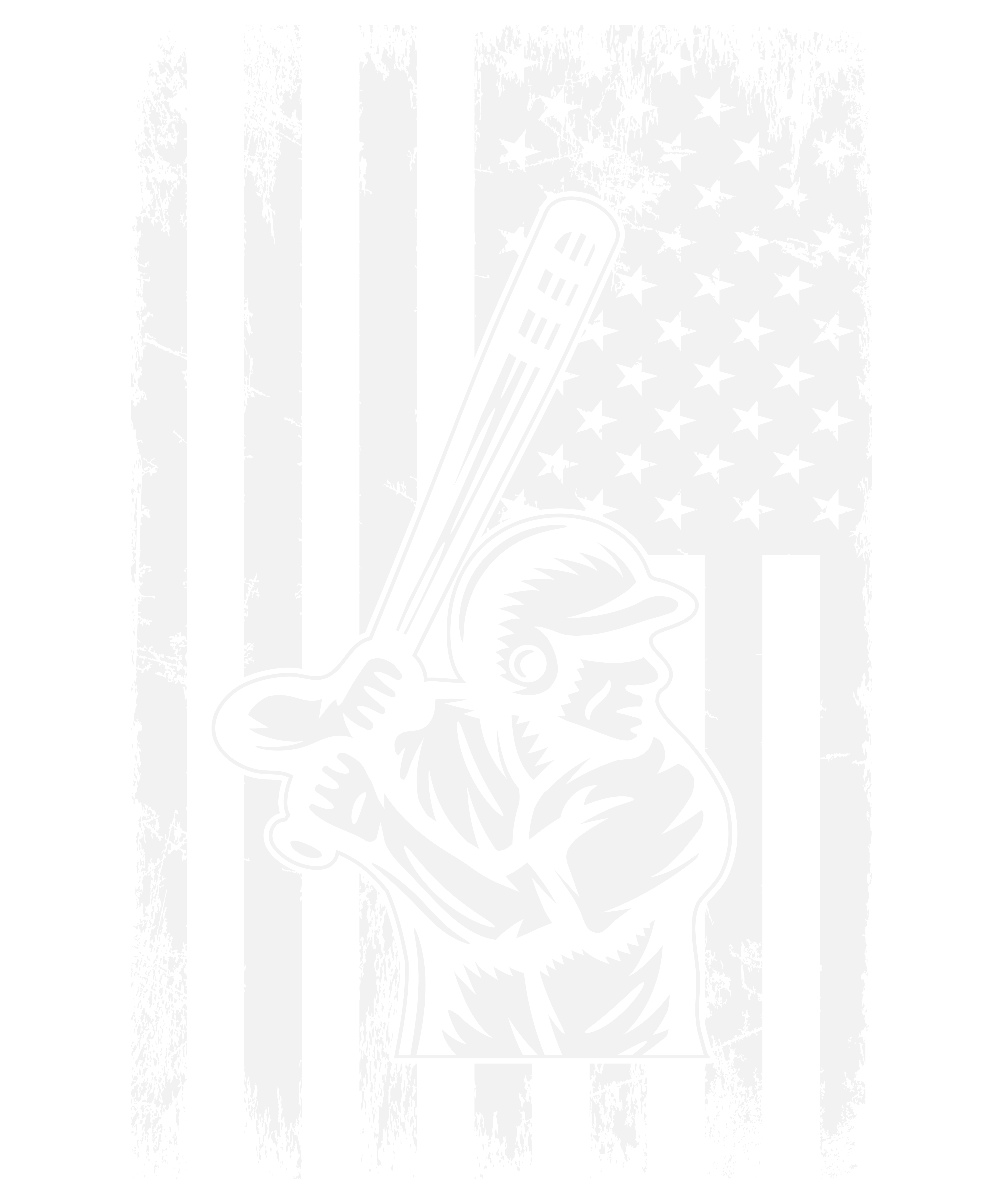 Softball USA Flag v3
