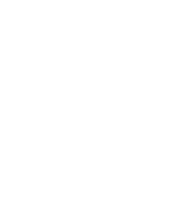 Spot Blind