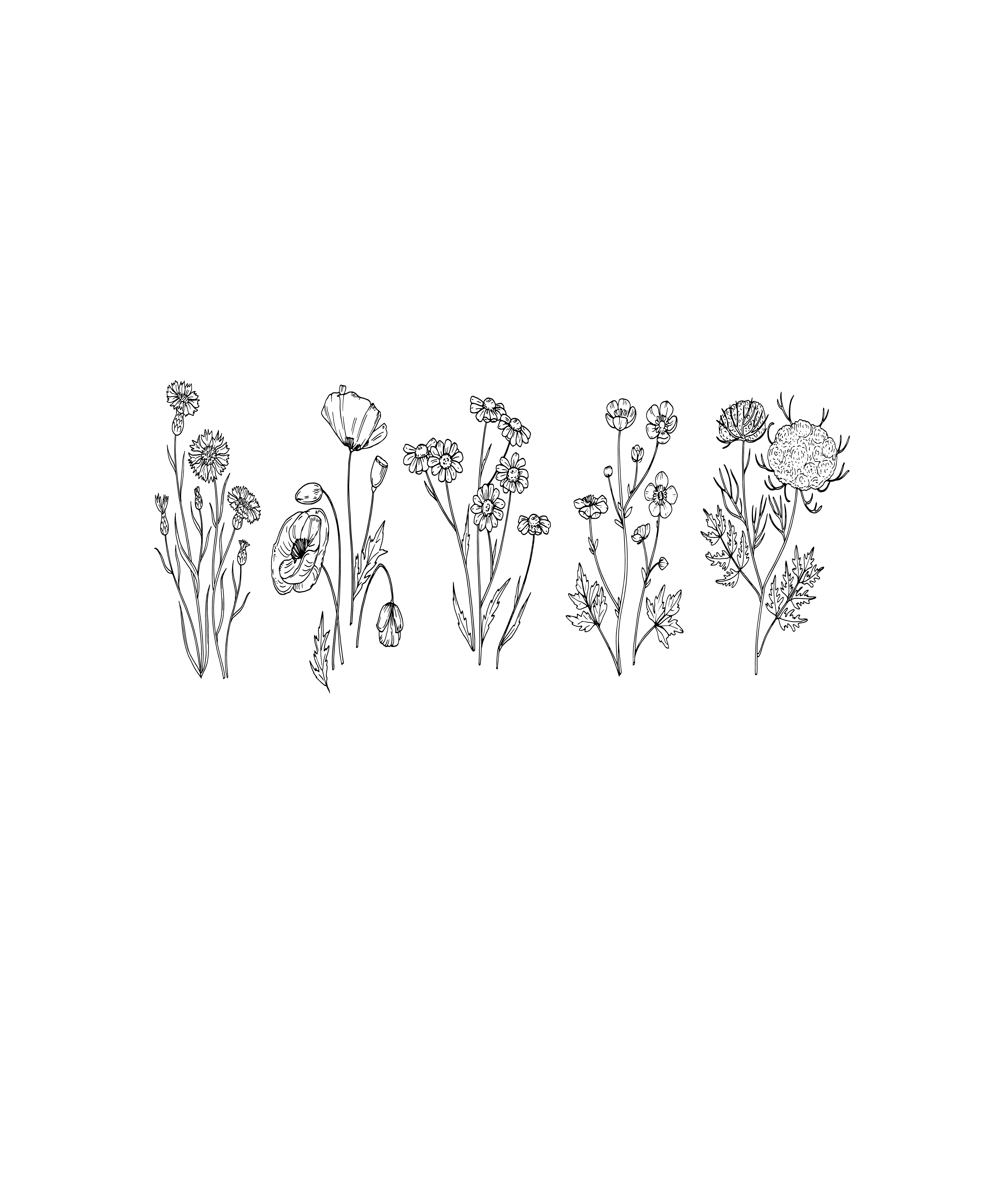 Spread Kindness Like Wildflowers