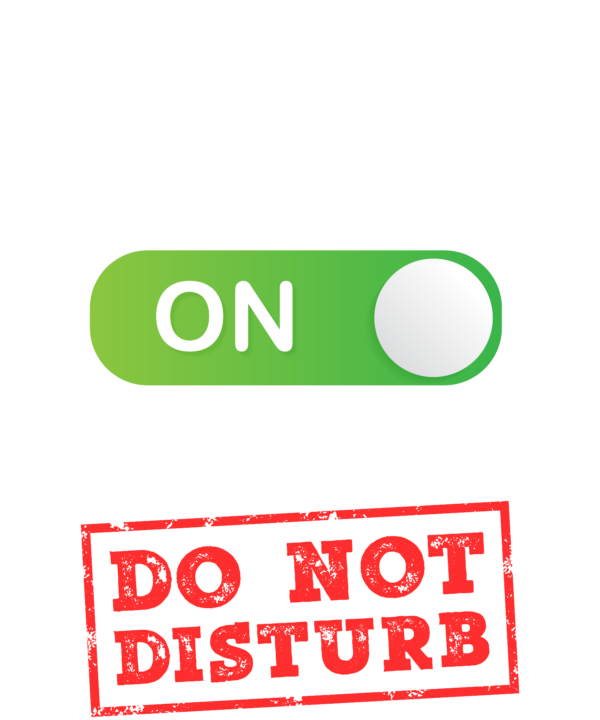 Surveyor Mode On Please Do Not Disturb