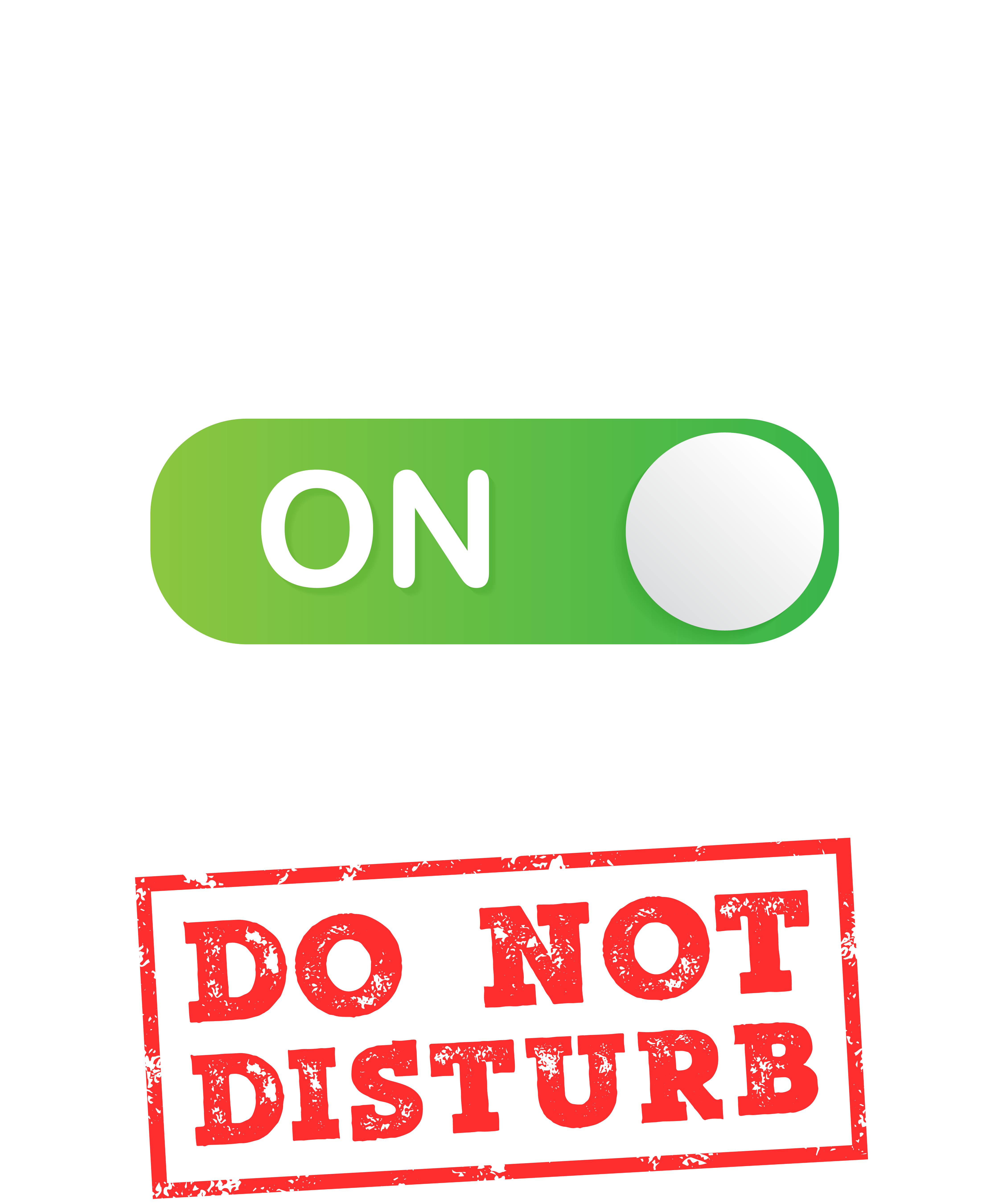 Surveyor Mode On Please Do Not Disturb