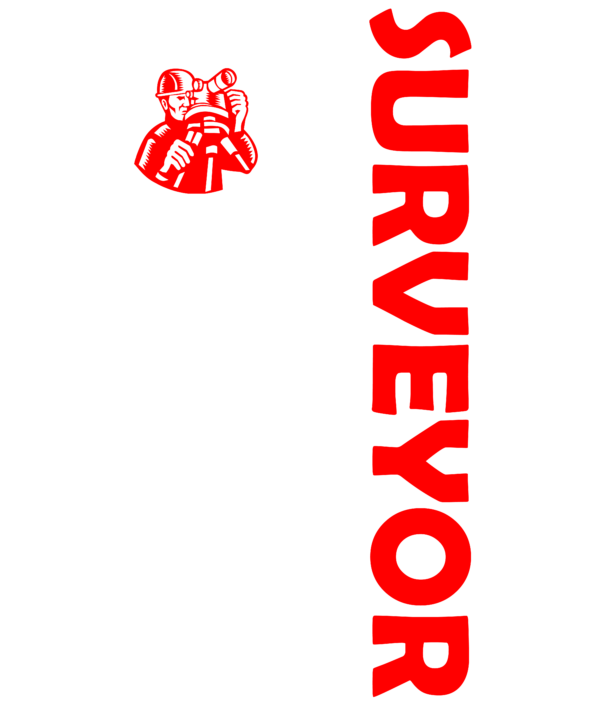 Surveyor USA Flag