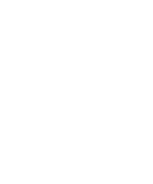 Teacher Of The Visually Impaired