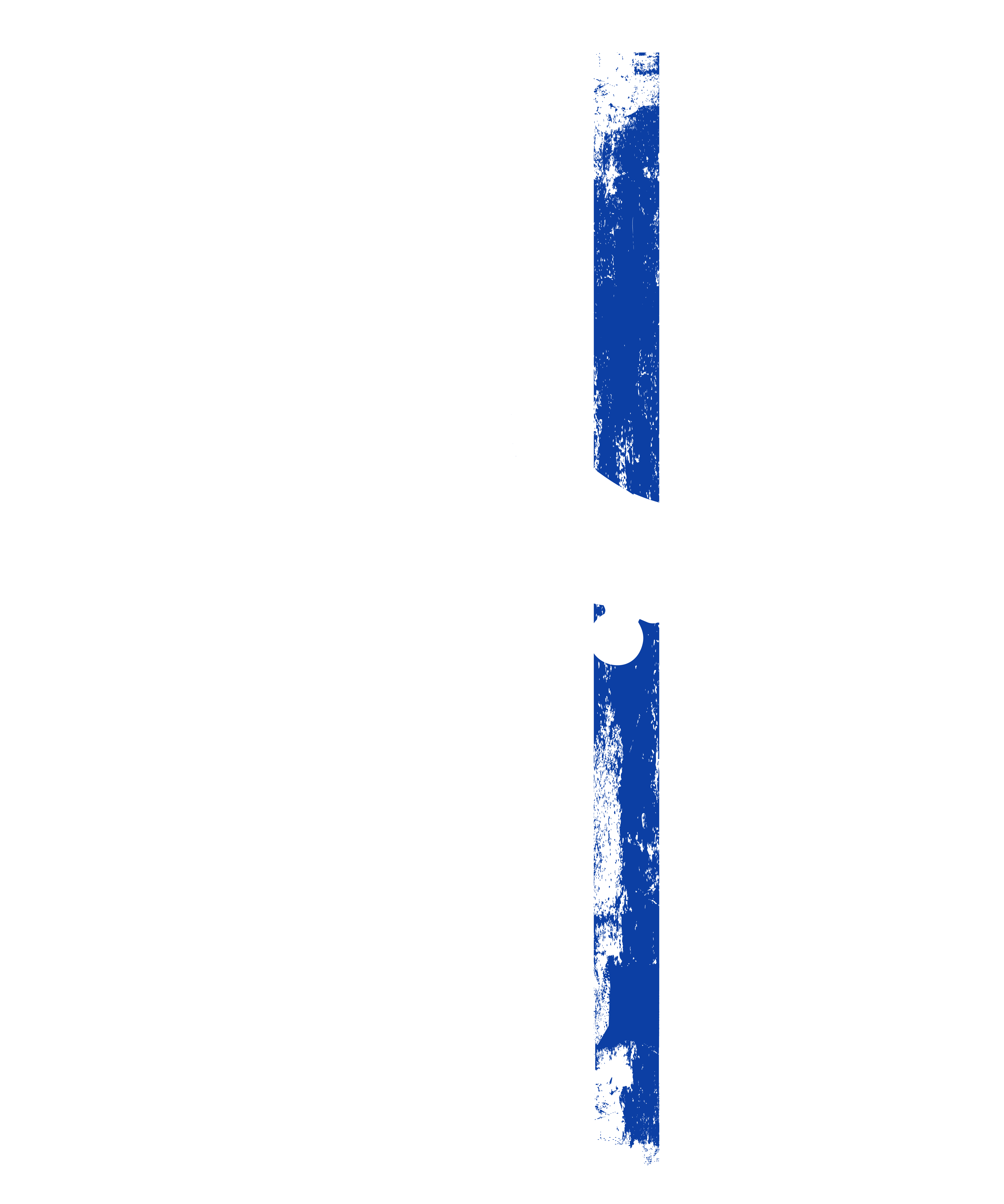 The Blue USA Flag Police Lives Matter