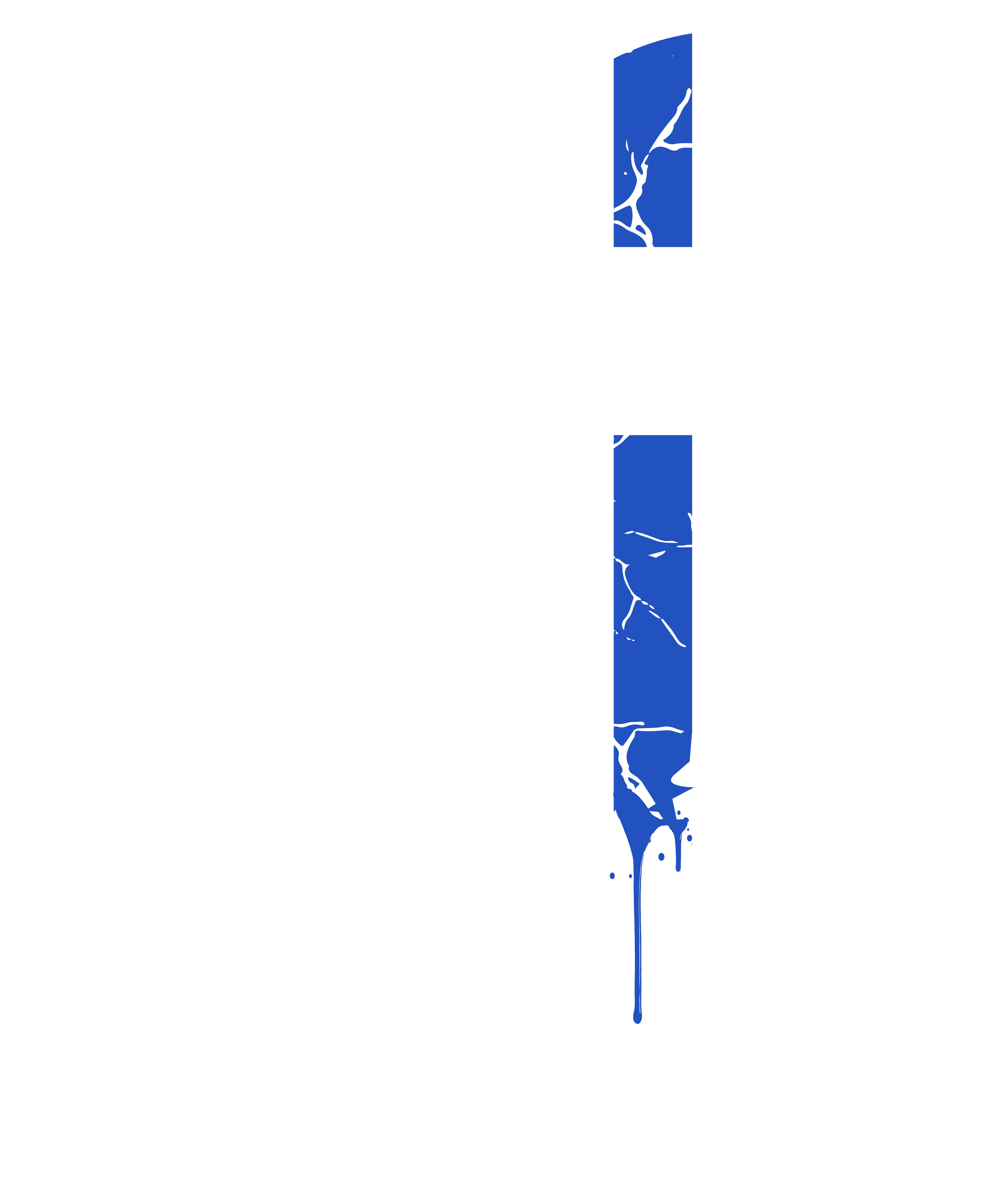 Thin Blue Line Police Officer