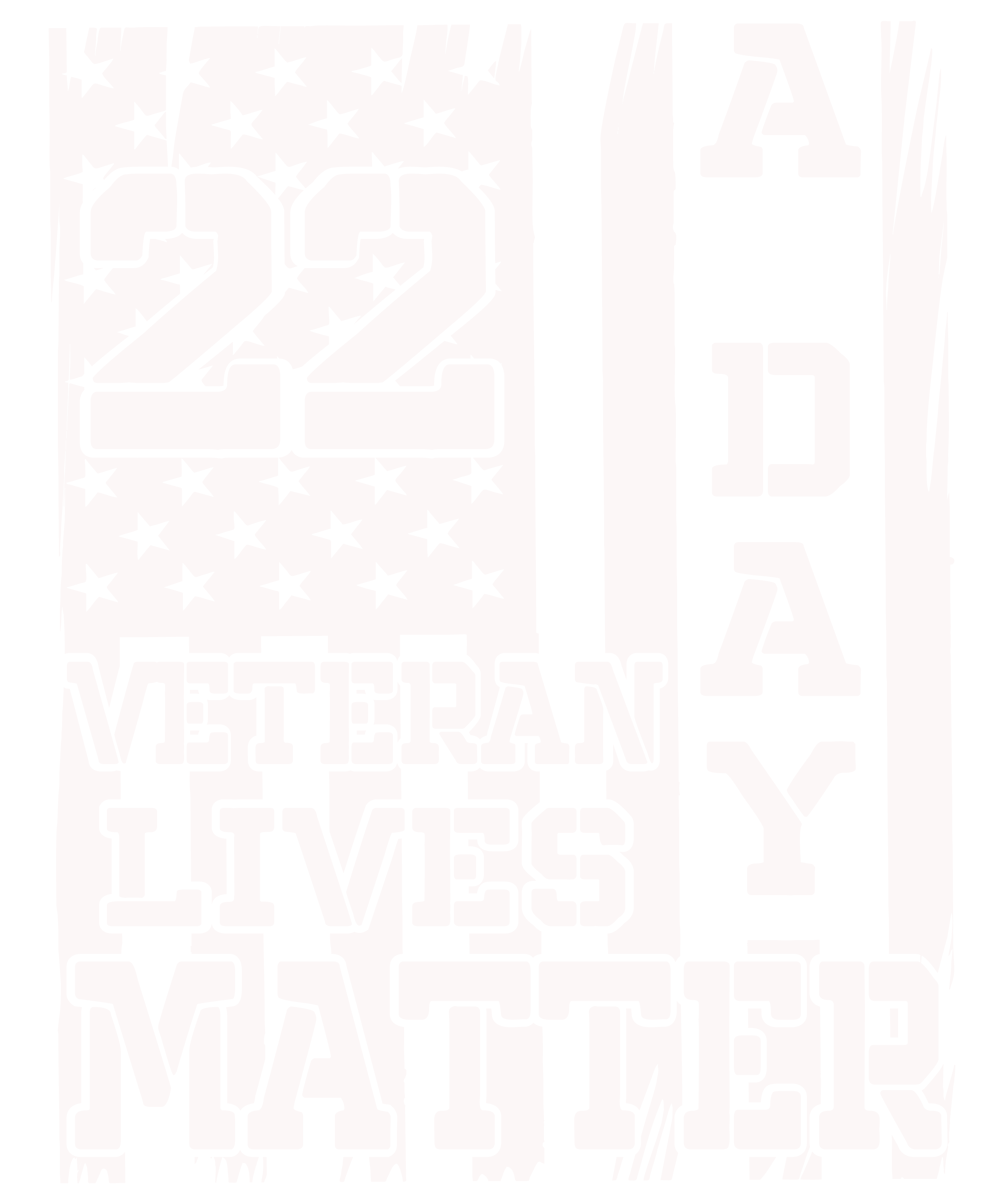 Veteran Lives Matter Suicide