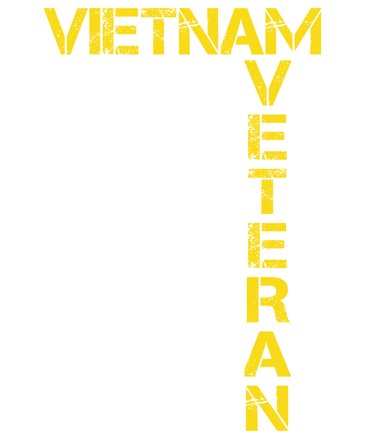 Vietnam Veteran