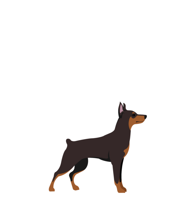 Black White American Flag Miniature Pinscher 4th Of July