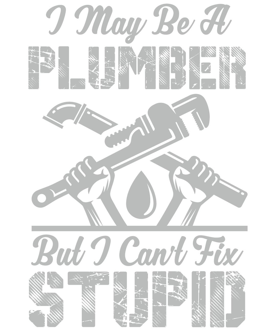 I May Be A Plumber But I Can't Fix Stupid
