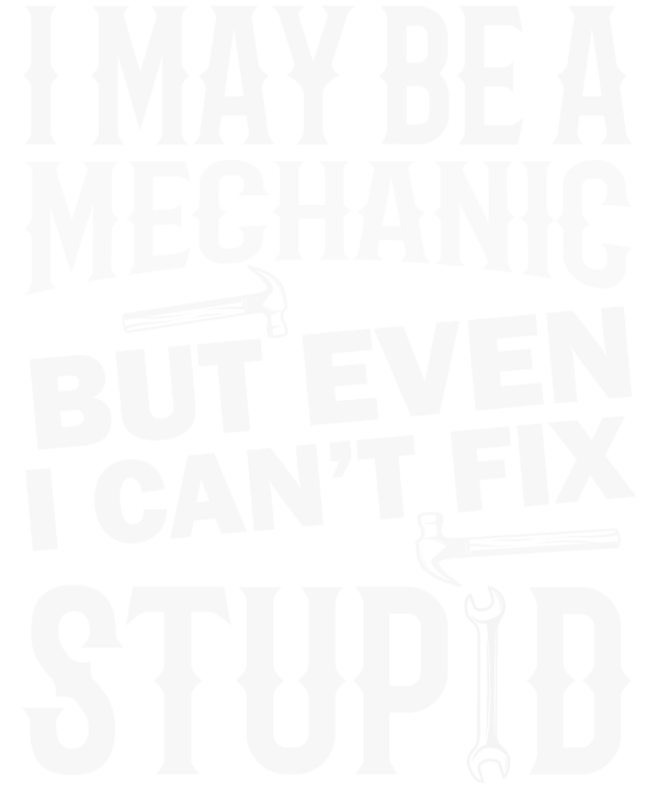 I May Be Mechanic But Even I Can't Fix Stupid
