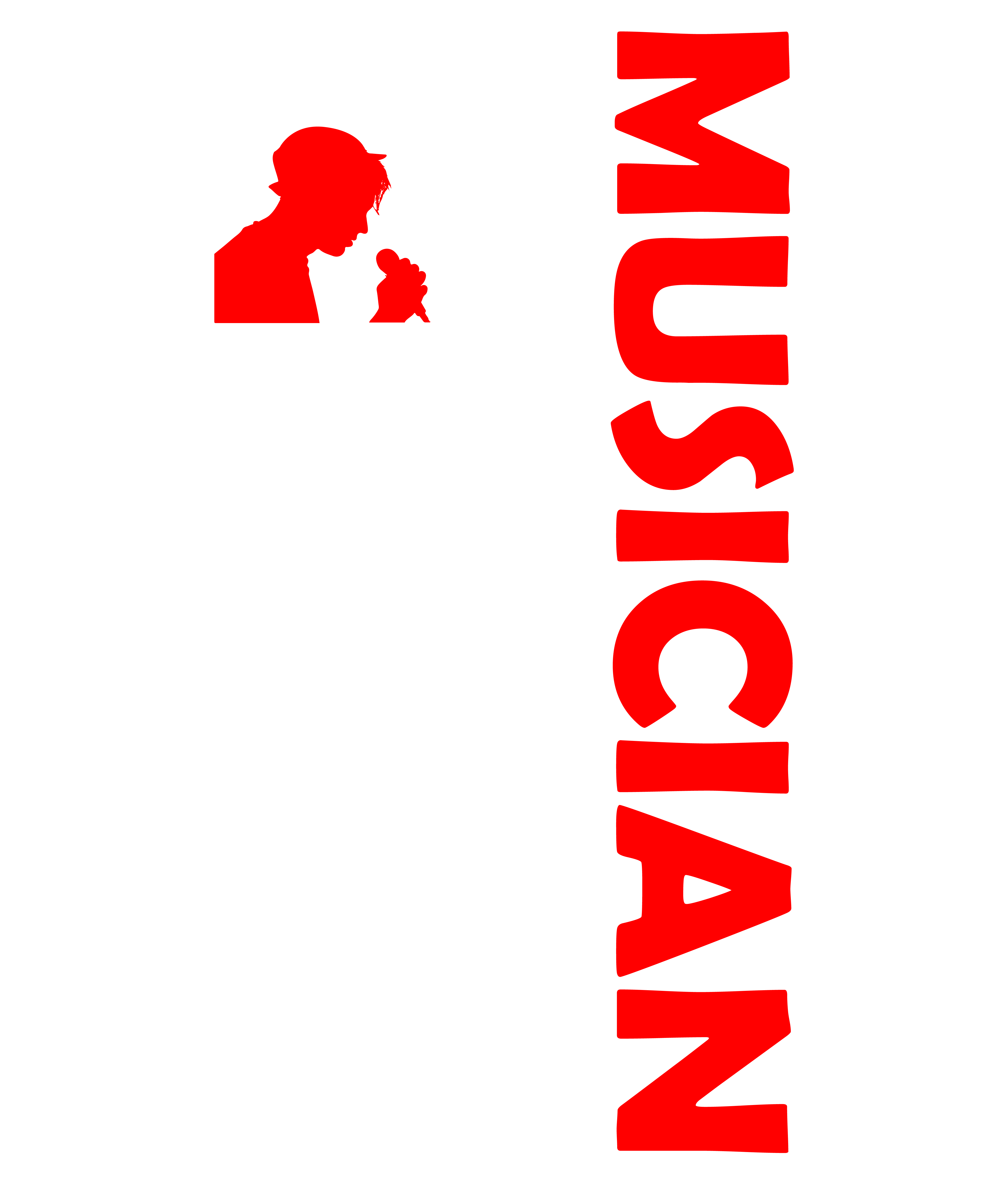 Musician USA Flag